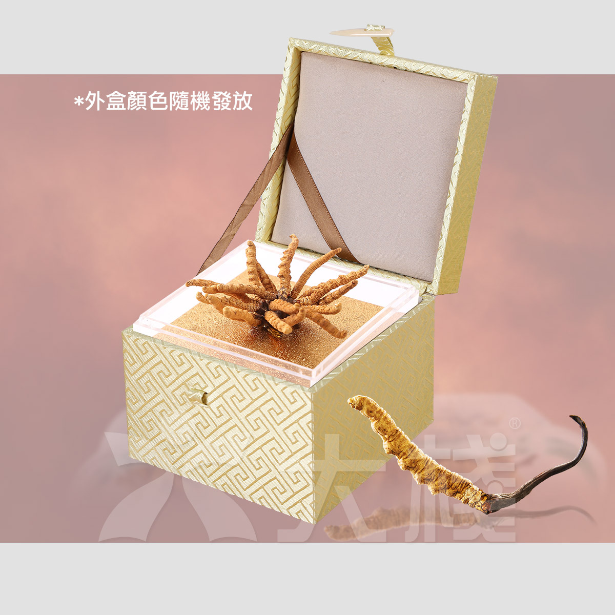 西藏冬蟲夏草 小花束禮盒裝 (不設退換) (別稱 冬蟲草，蟲草，藏草)