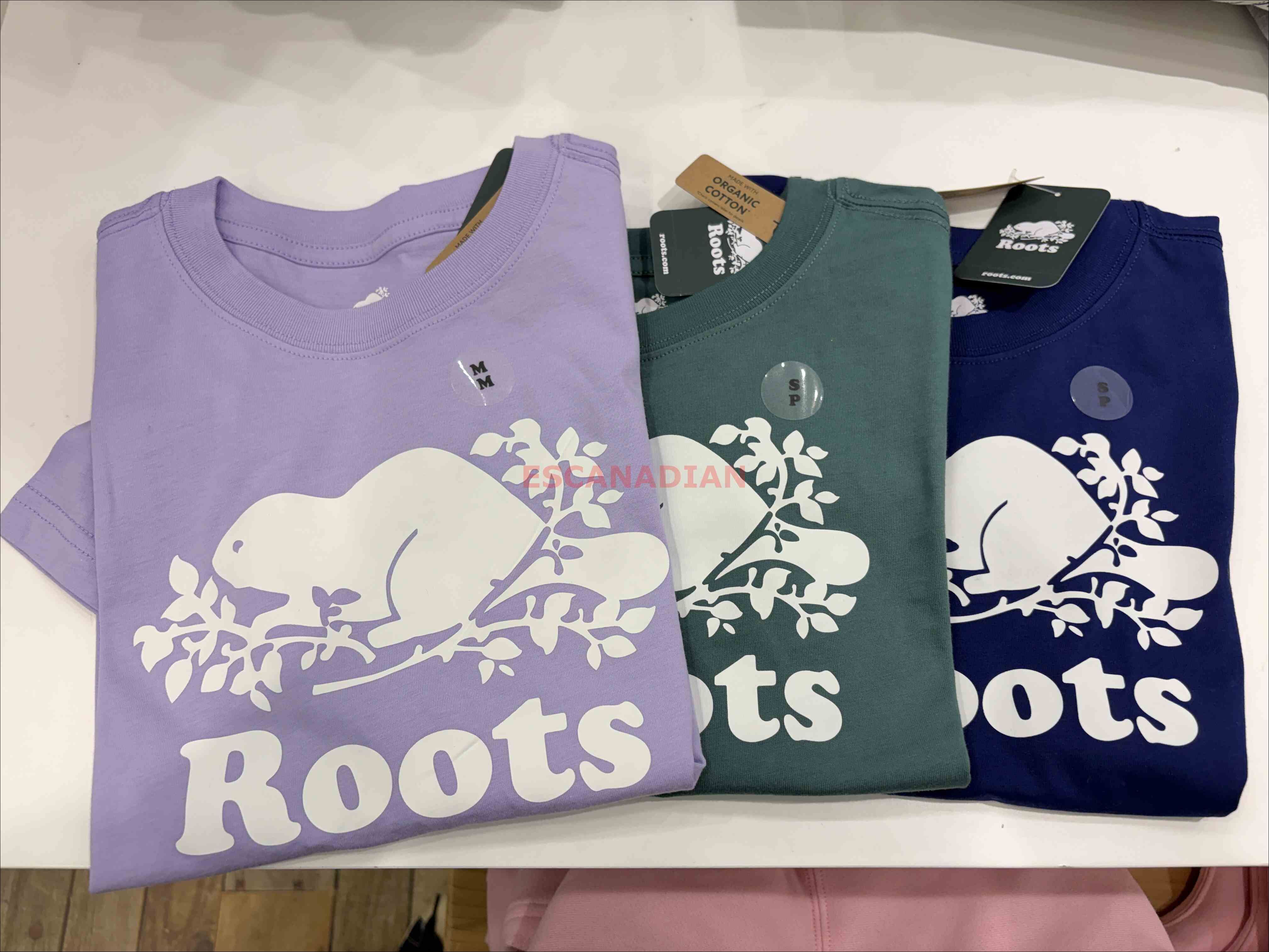 ROOTS 大童 經典海狸 短TEE (3色)