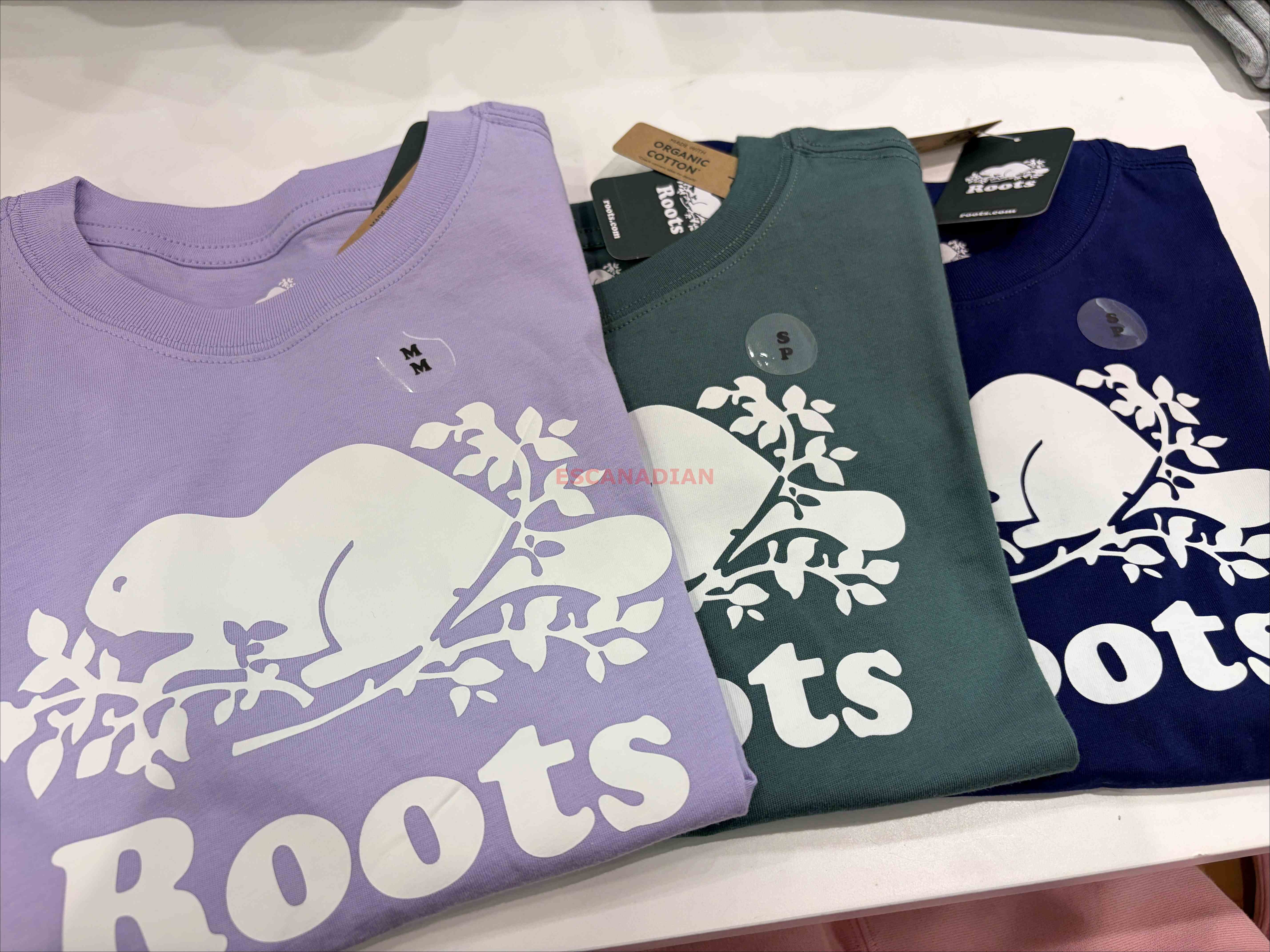 ROOTS 大童 經典海狸 短TEE (3色)