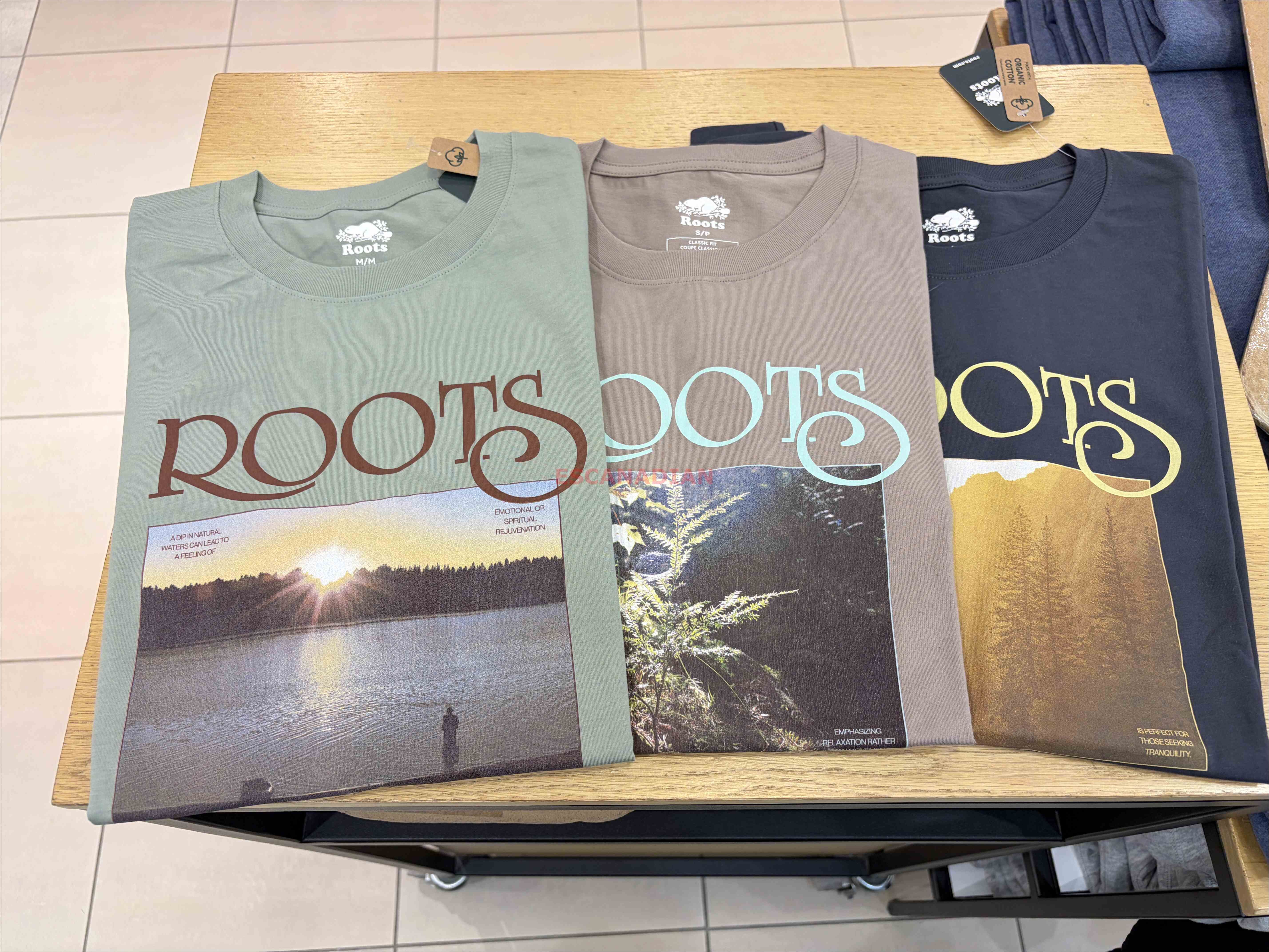 ROOTS 男大人 大自然 風景圖案 短TEE (3色)