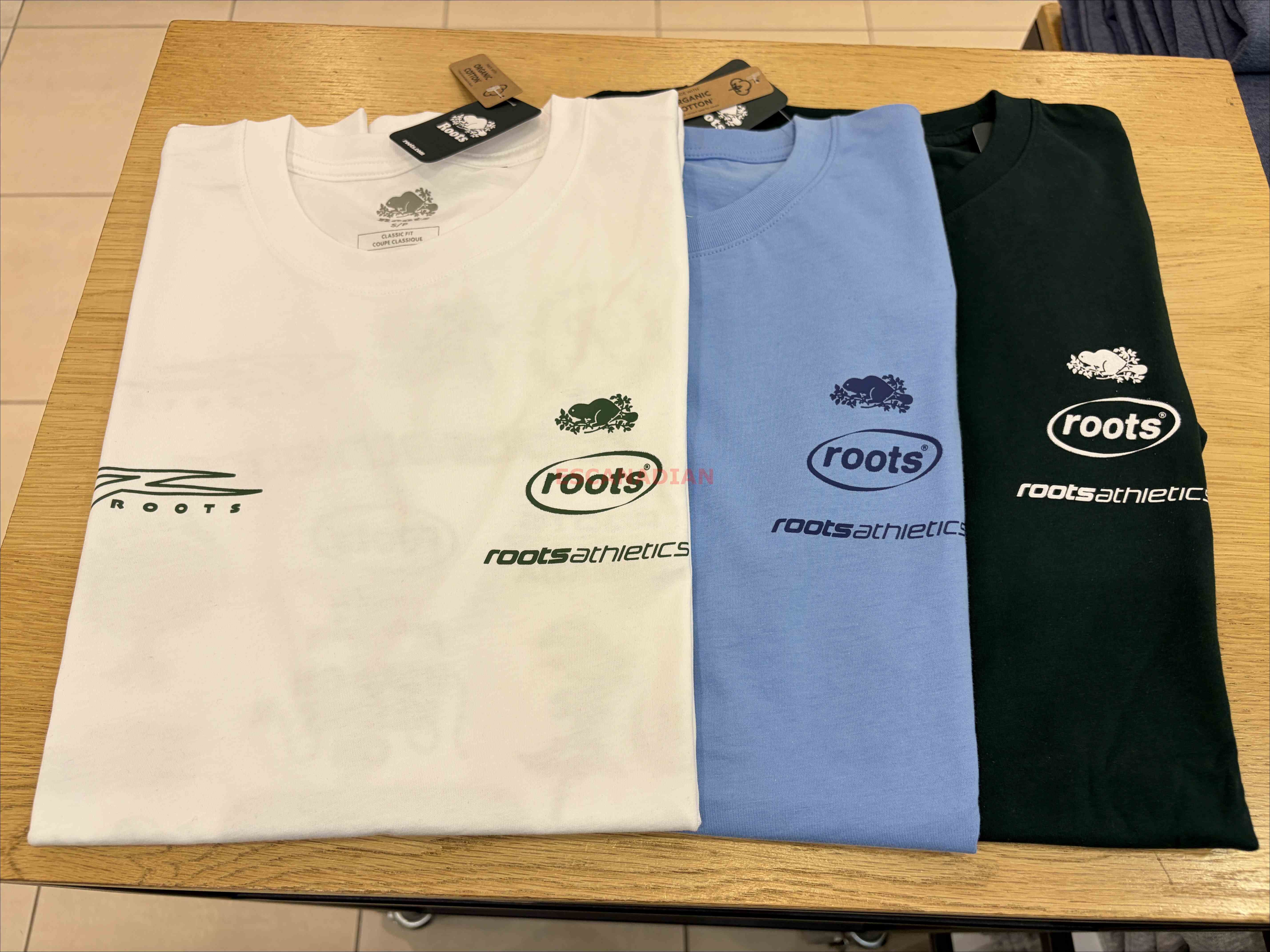 ROOTS 男大人 正反圖案 歷史LOGO 短TEE (3色)