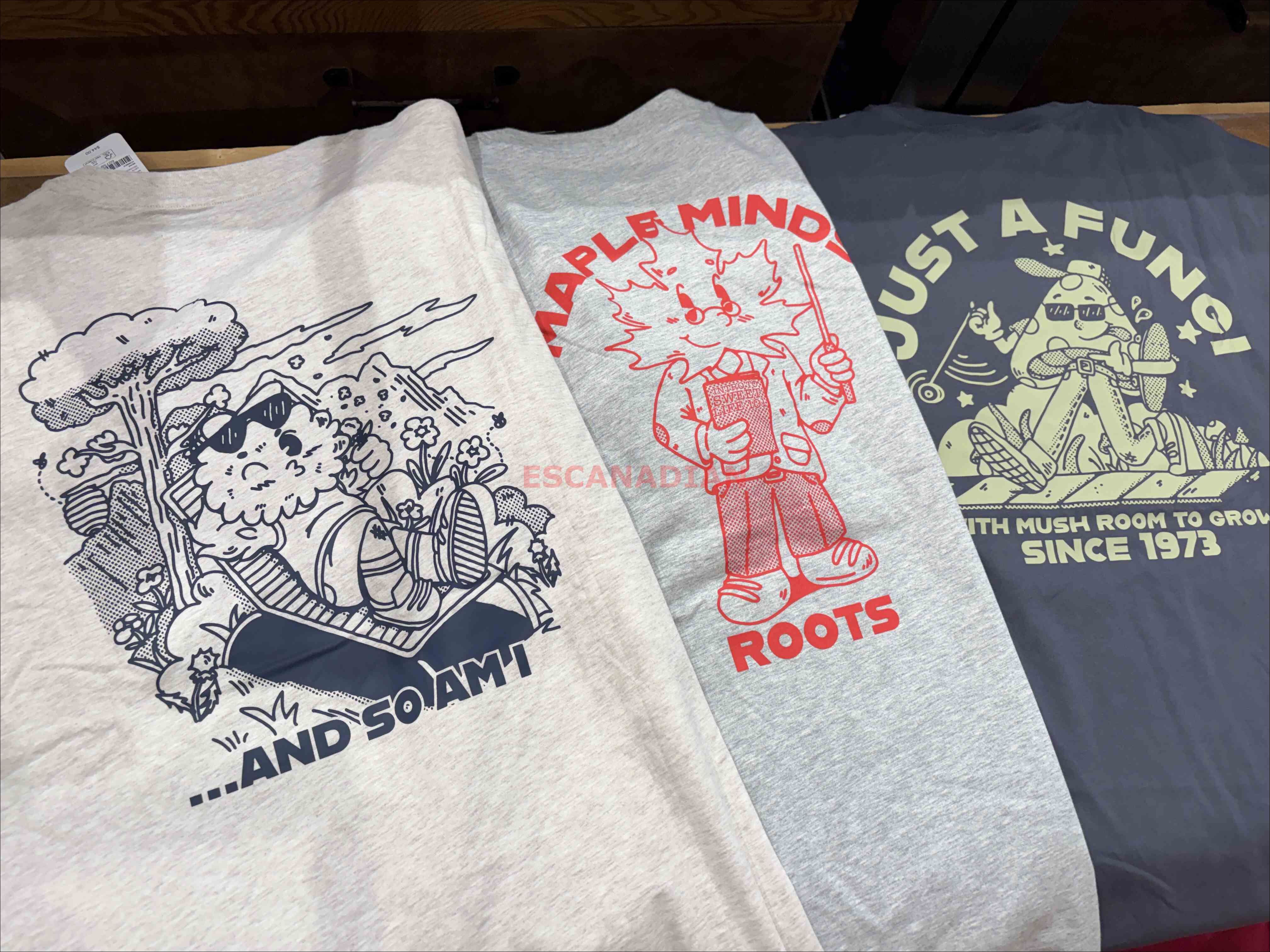 ROOTS 男大人 大自然元素系列 正反圖案 寬版(Relaxed) 短TEE (3色)