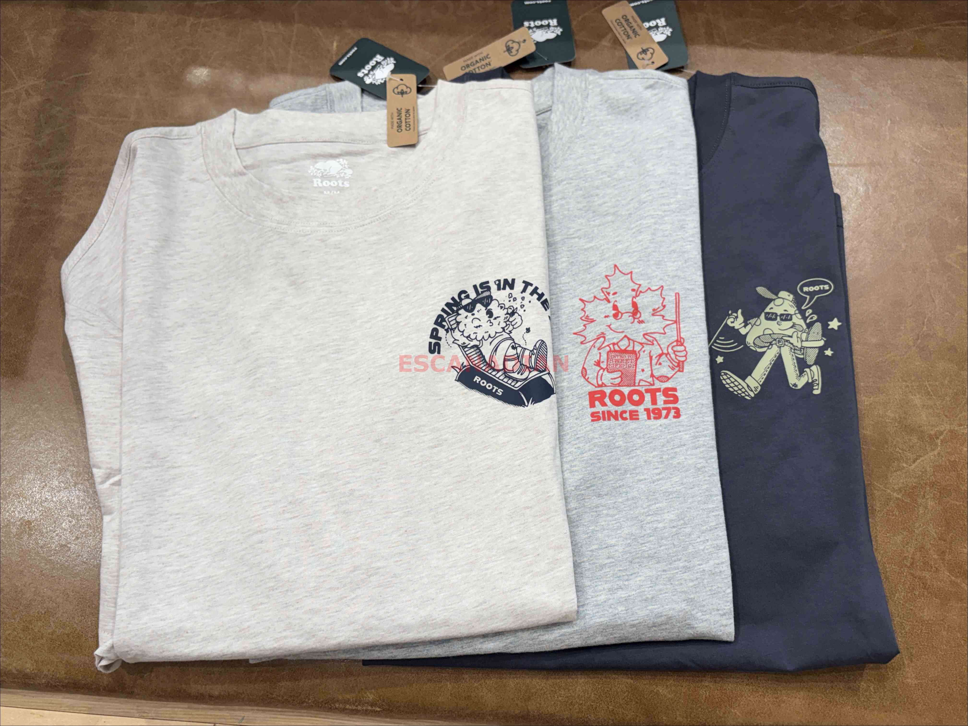 ROOTS 男大人 大自然元素系列 正反圖案 寬版(Relaxed) 短TEE (3色)