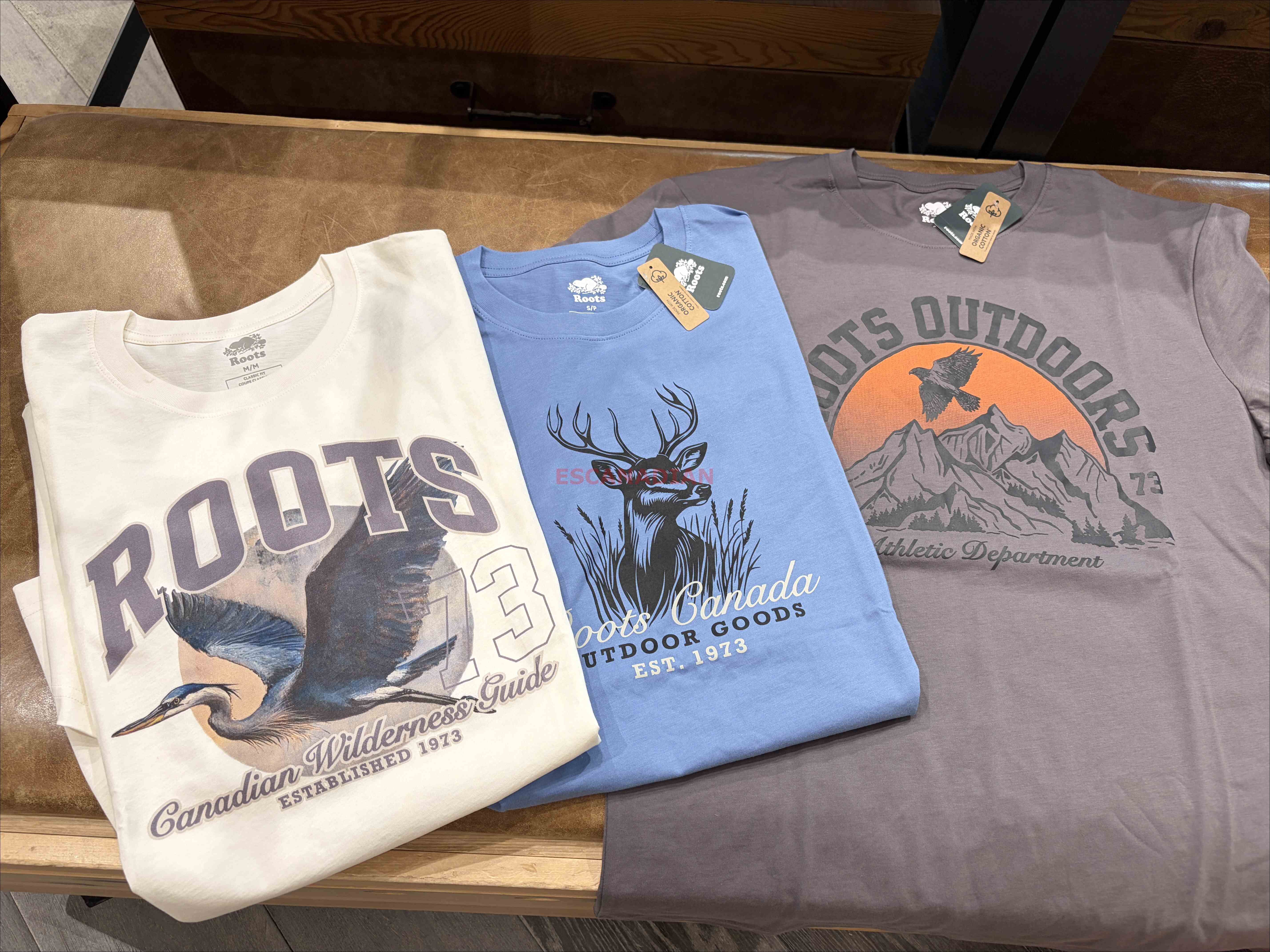 ROOTS 男大人 動物系列 圖案 短TEE (3色)