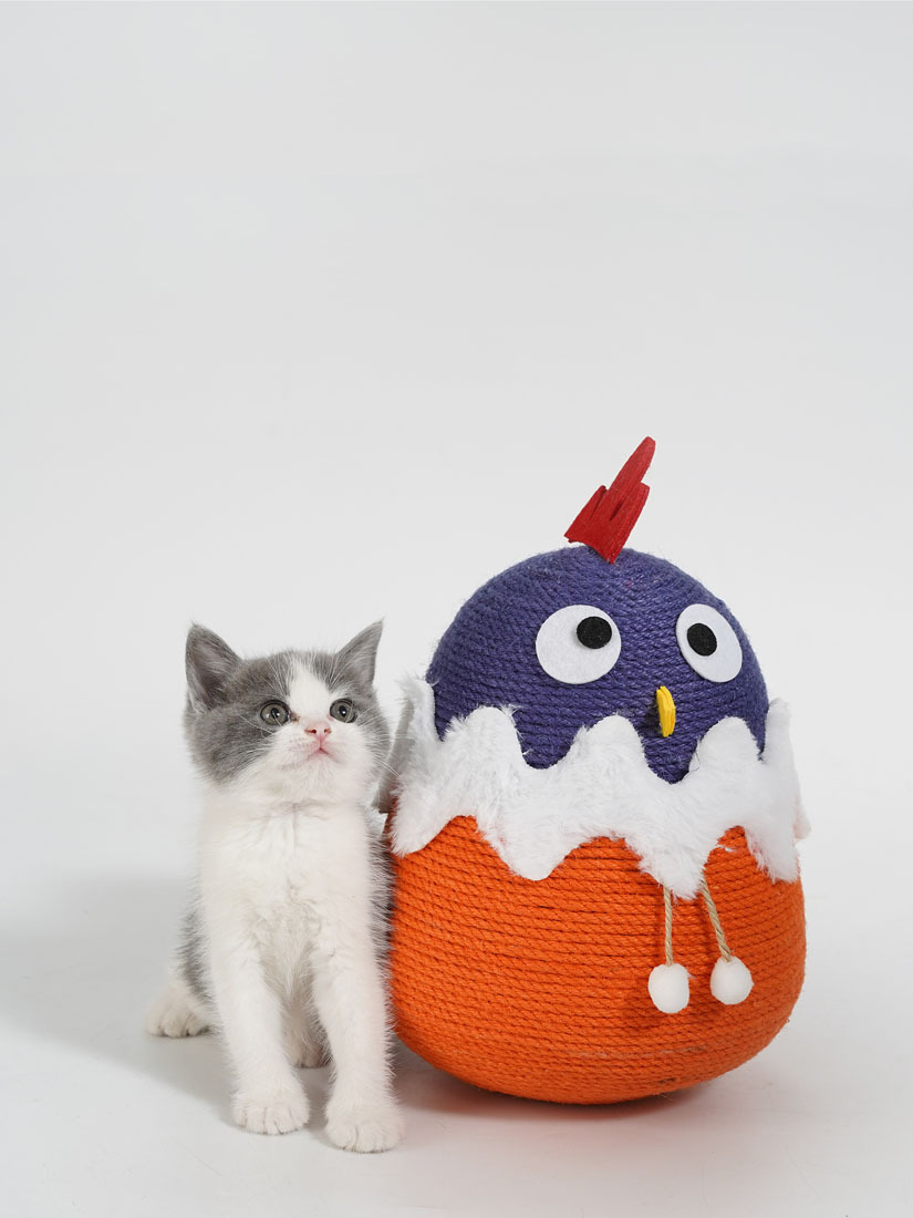 【福利品】喵仙兒-胖胖雞麻繩抓柱