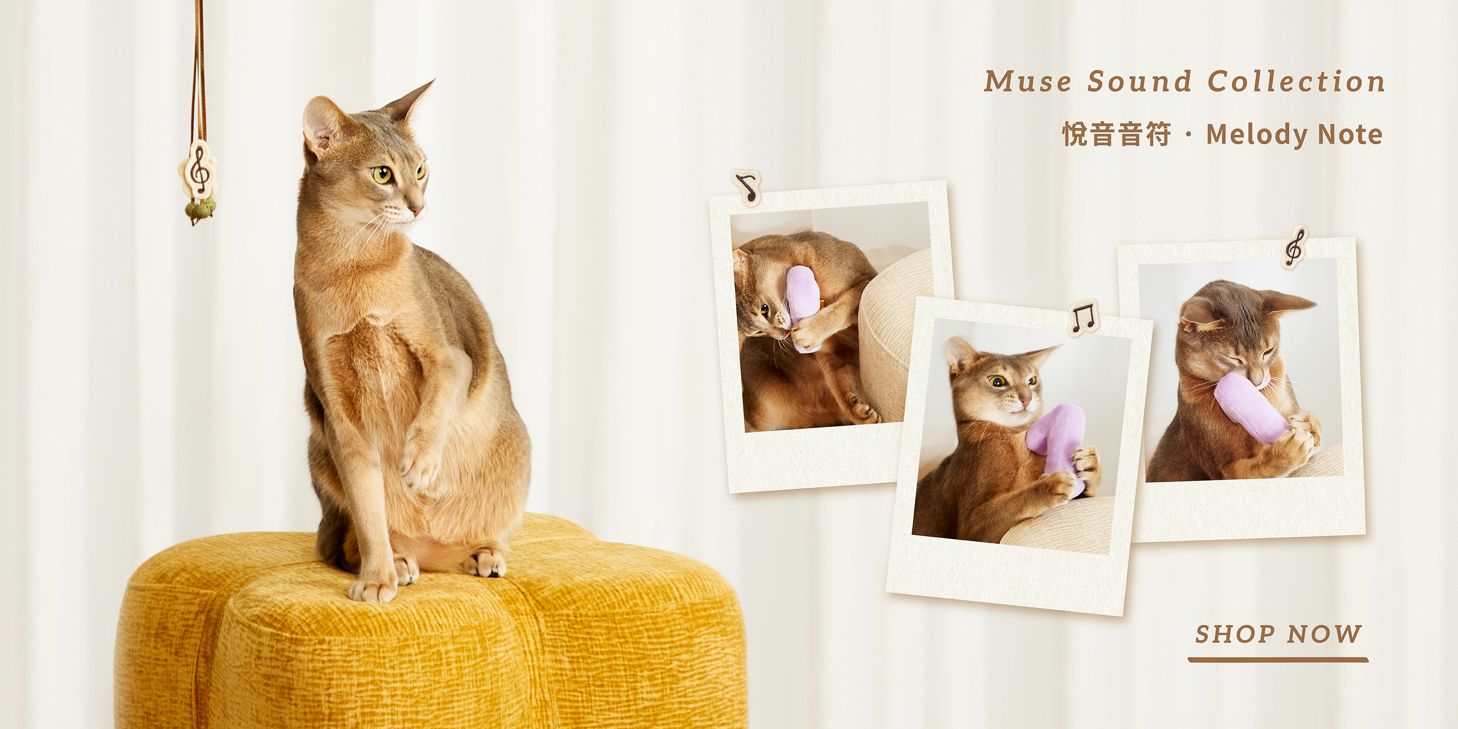 DOSIDO Banner 3 Desktop