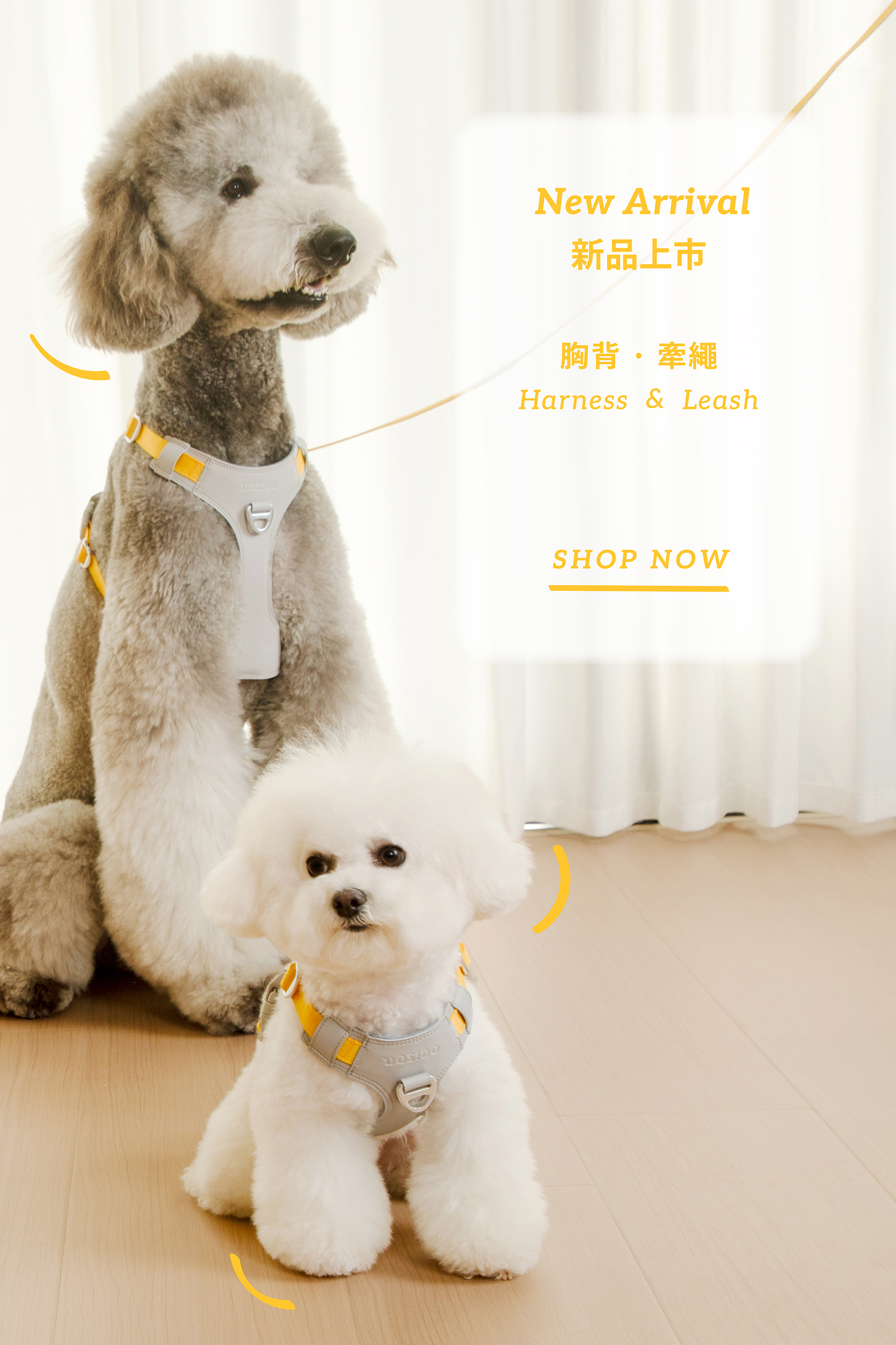 DOSIDO Banner 4 Mobile