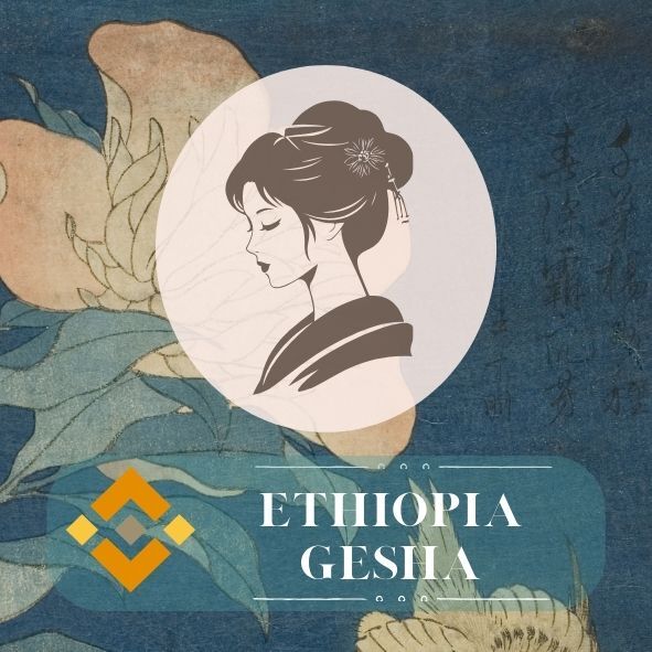 班吉馬奇 花露藝妓｜日曬｜淺焙