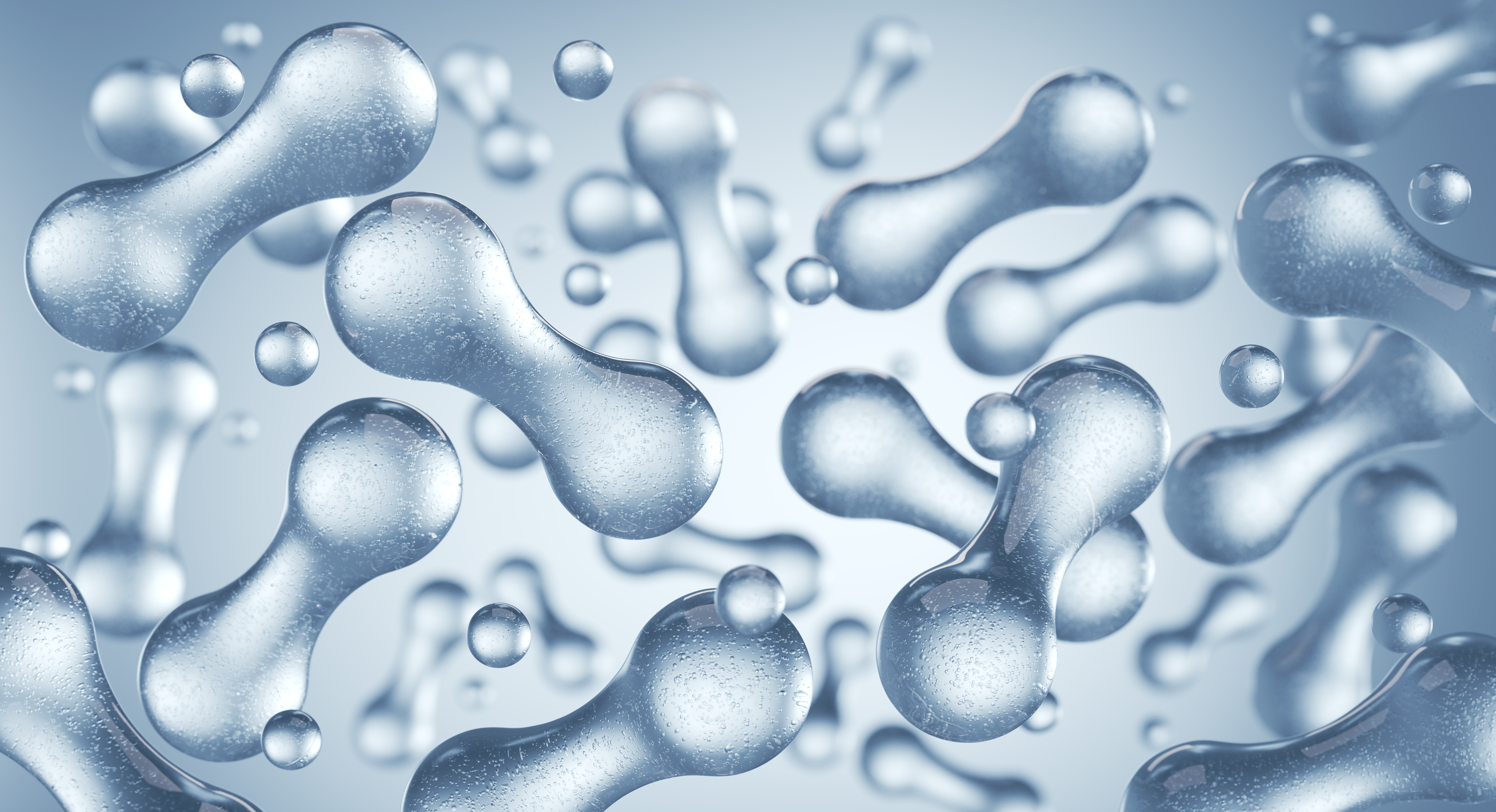 韓國專利乳酸菌