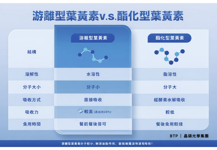 游離型,酯化型,葉黃素,水溶性,脂溶性,分子小,分子大,吸收方式,直接吸收,經酵素水解吸收,吸收力較高,高出約20%,吸收力較低,食用時間,餐前餐後皆可,餐後食用較佳