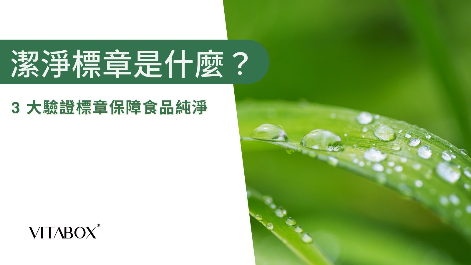 國內外 3 大潔淨標章介紹，守護你的食品衛生安全