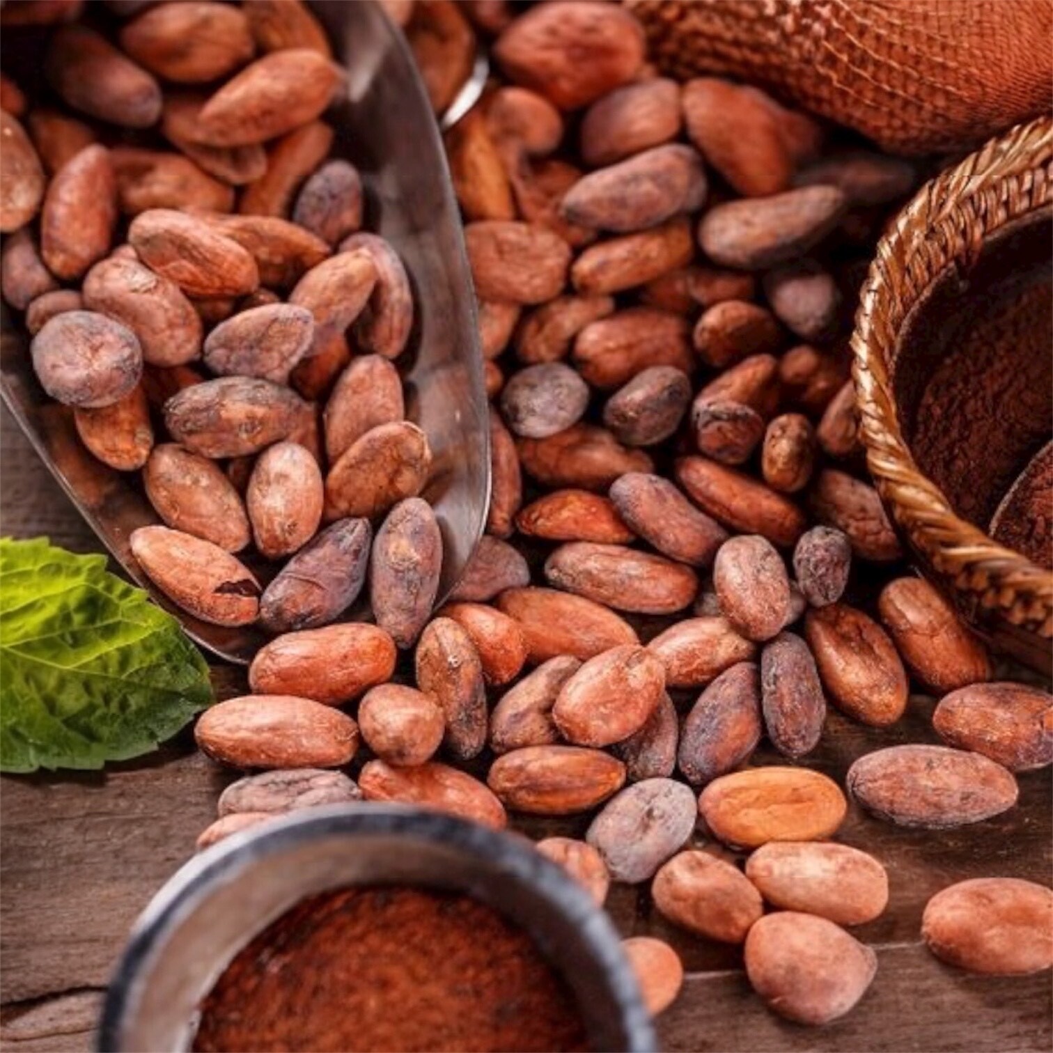 可可粉（未鹼化）