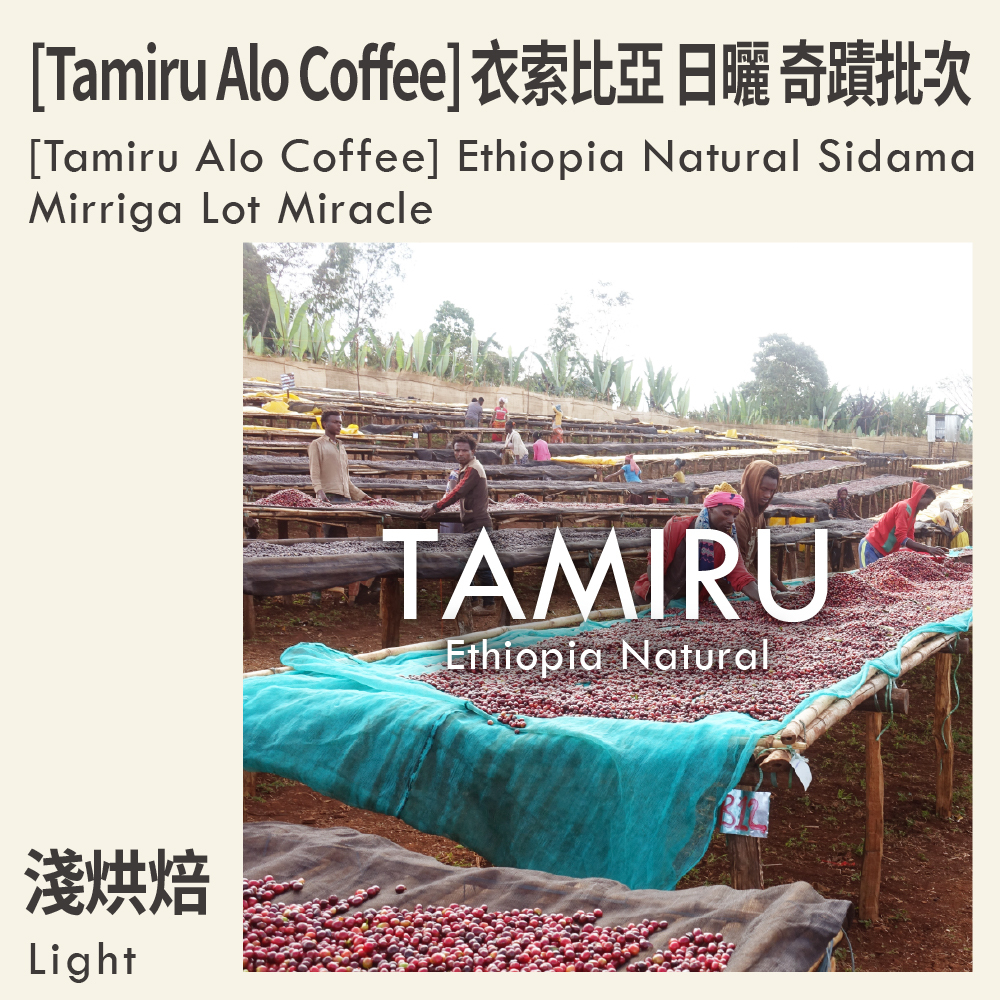 [Tamiru Alo Coffee] 衣索比亞 日曬 希達馬 Mirriga處理站 奇蹟批次