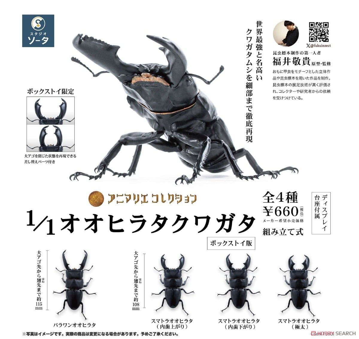 預購26/06 SO-TA 代理版 盒玩 1/1 扁鍬形蟲 全4種