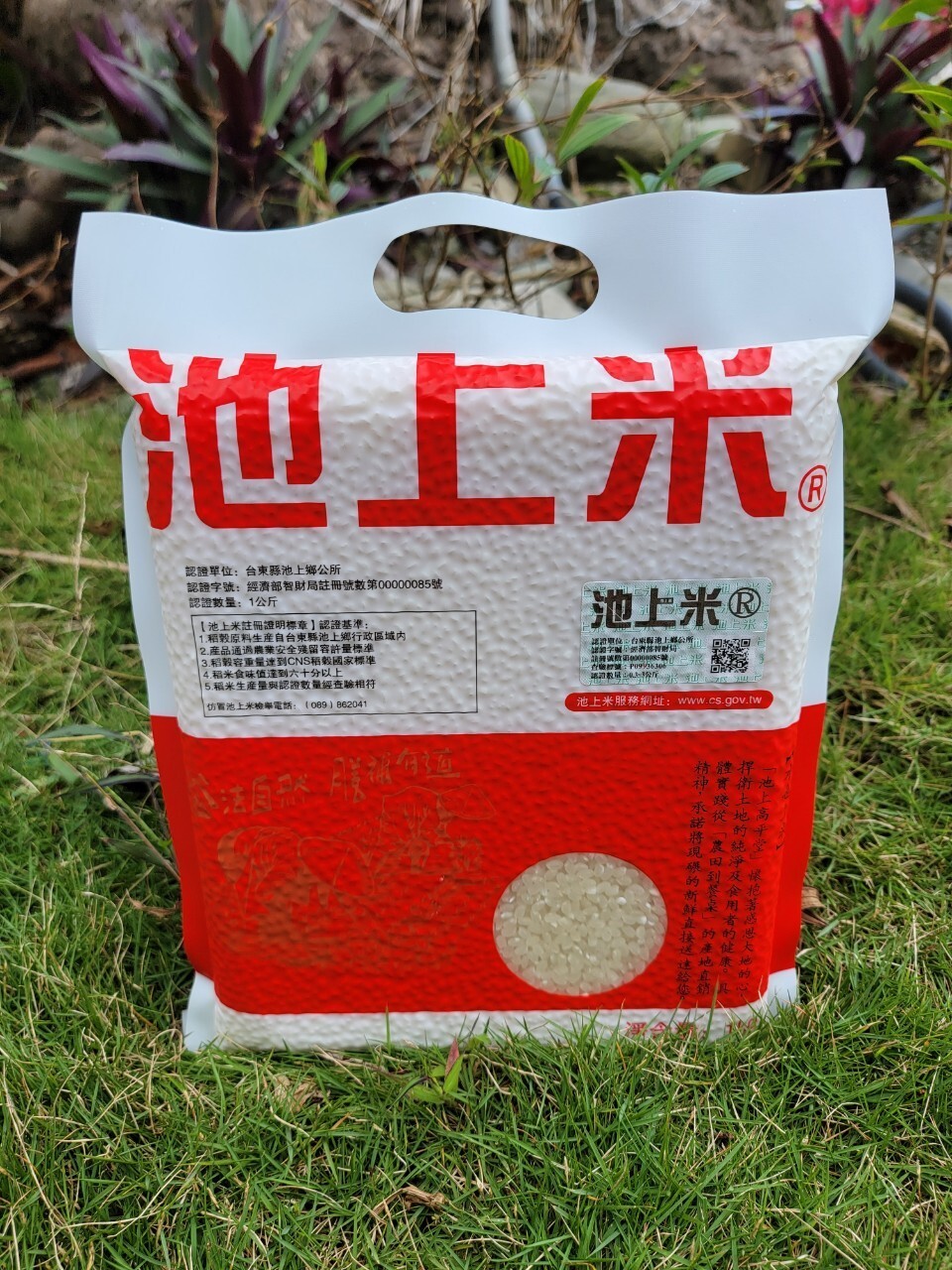 高雄分會#19|【池上高平堂】池上米