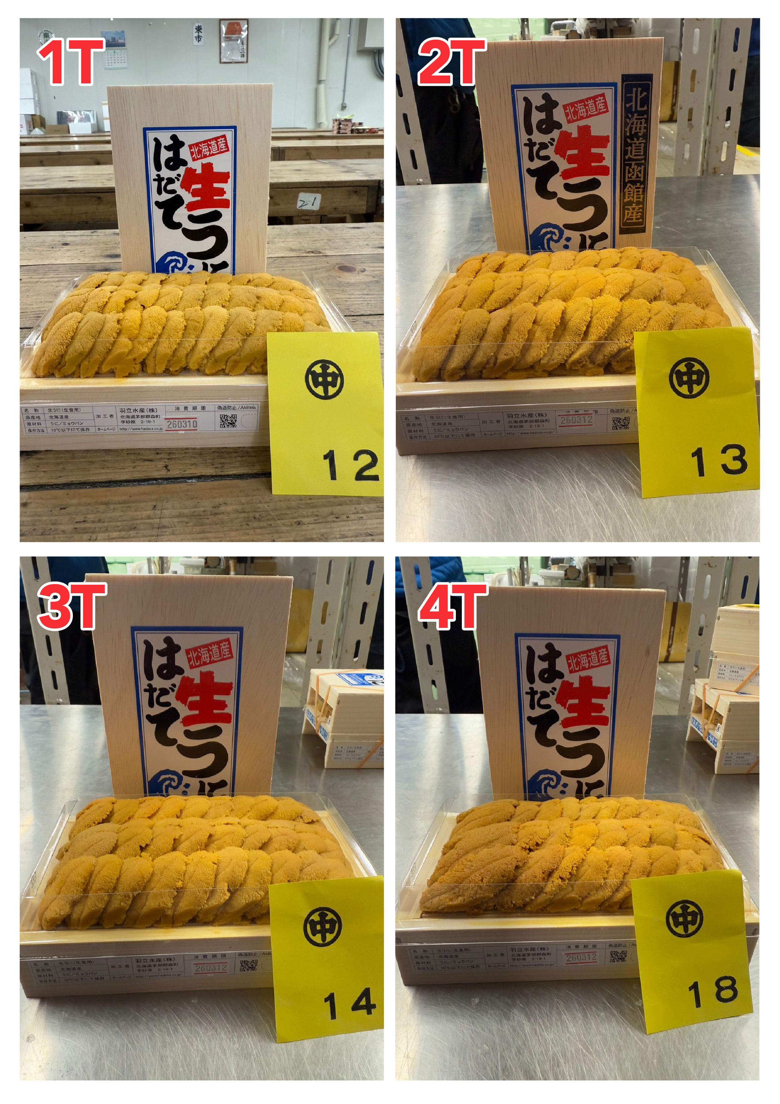 【指定海膽推薦】每天更新 (限即日落單, 翌日送)