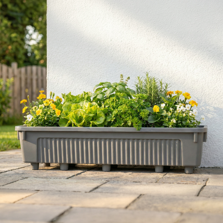 普羅旺斯植栽盆-L