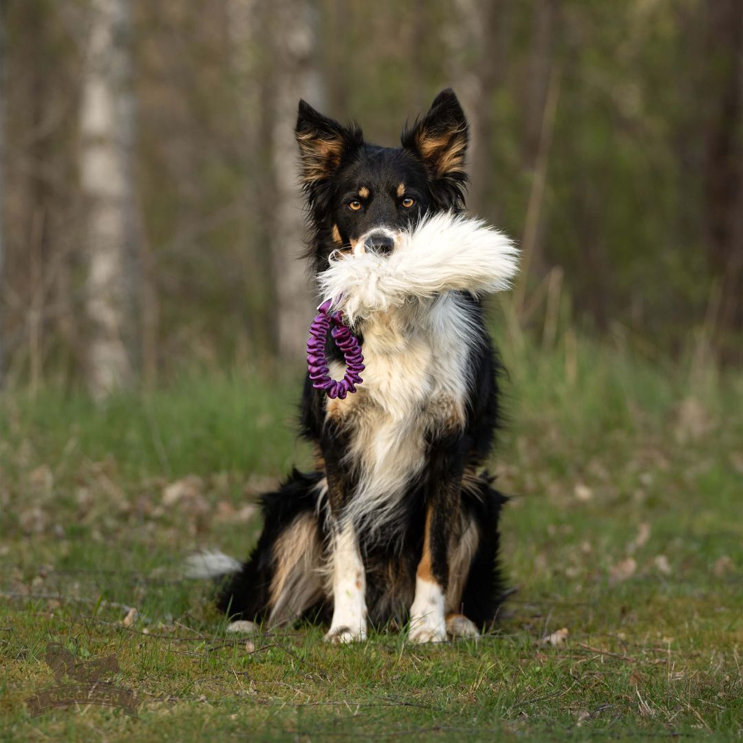 瑞典Doggie-Zen｜彈力羊毛口袋玩具