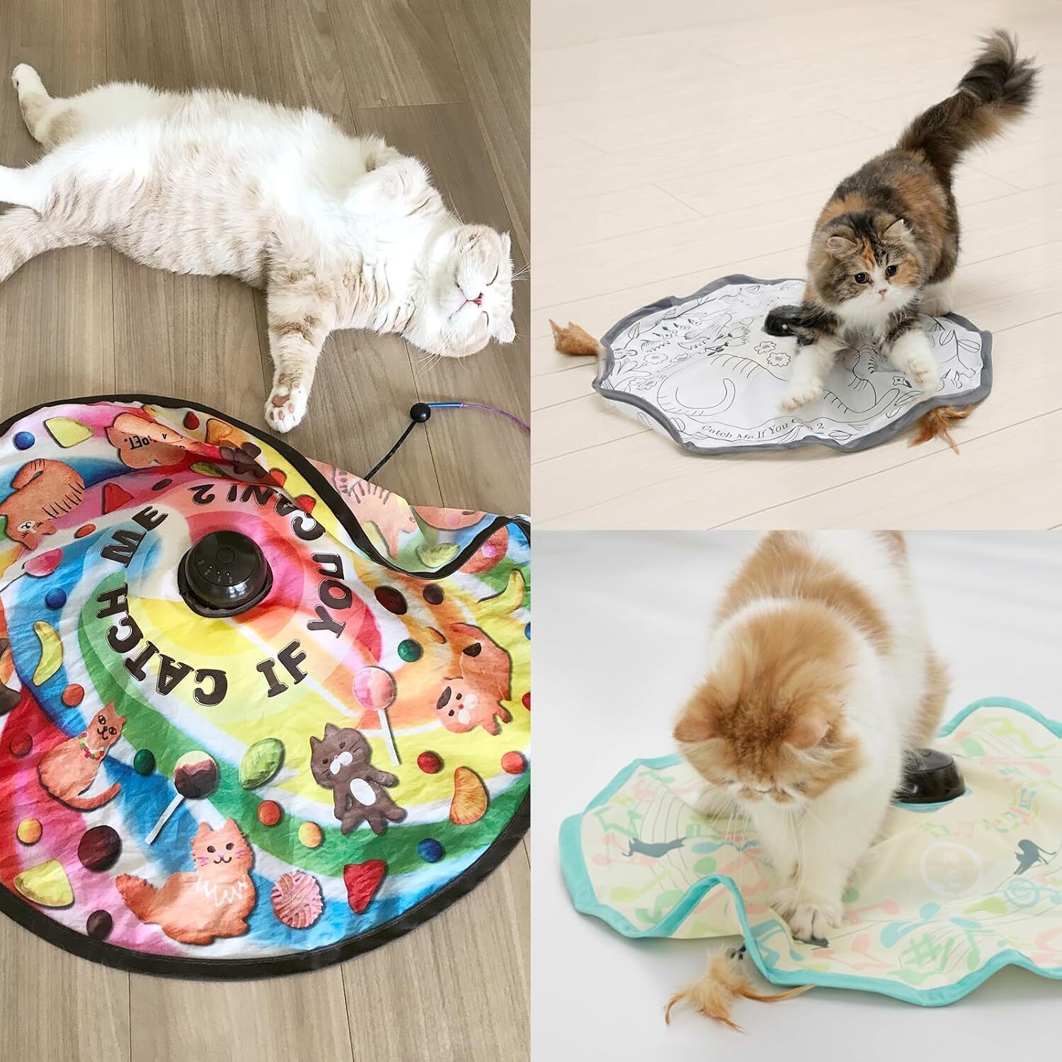 日本貓壹Necoichi 來抓我吧2！電動躲貓貓玩具