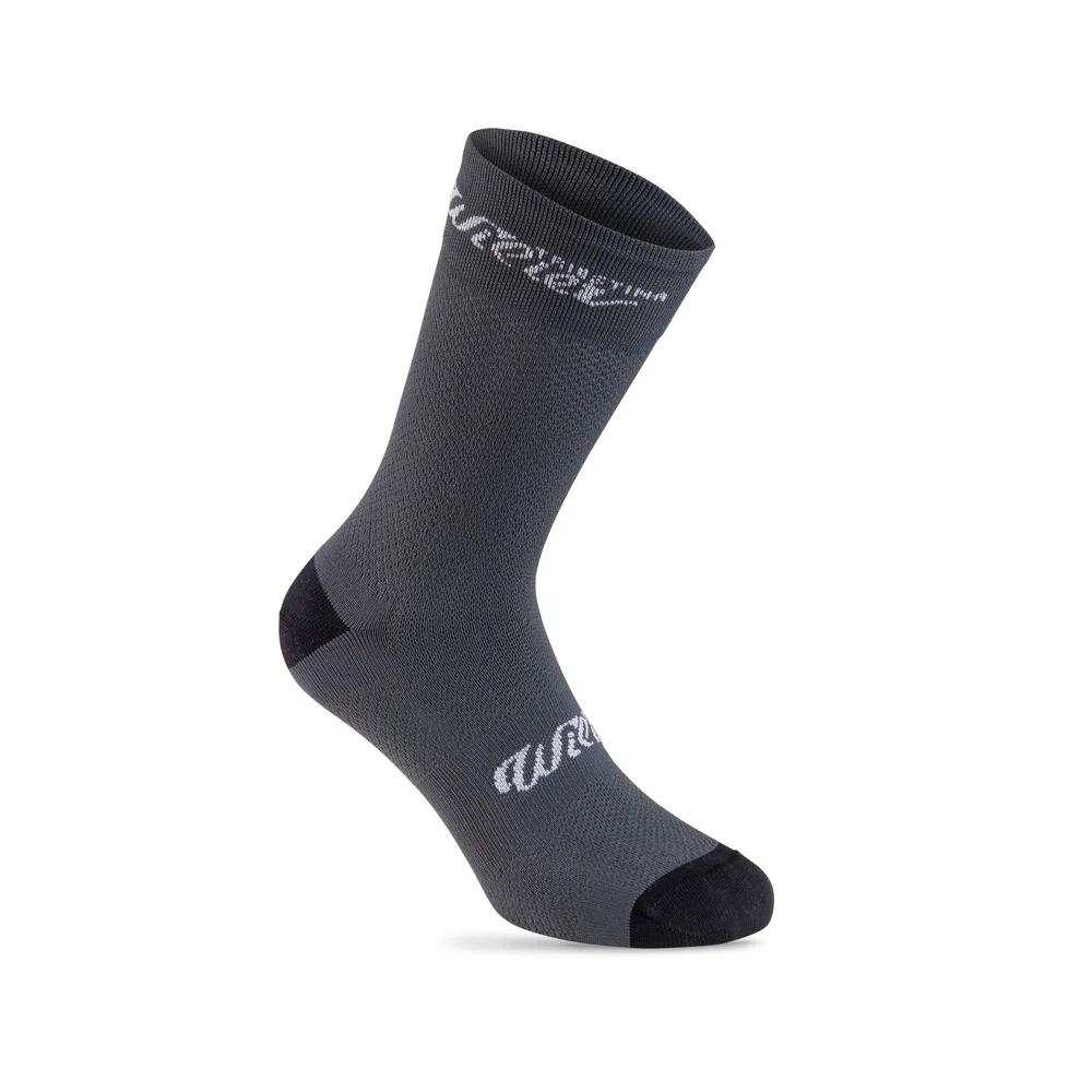 Wilier Aurora 單車襪