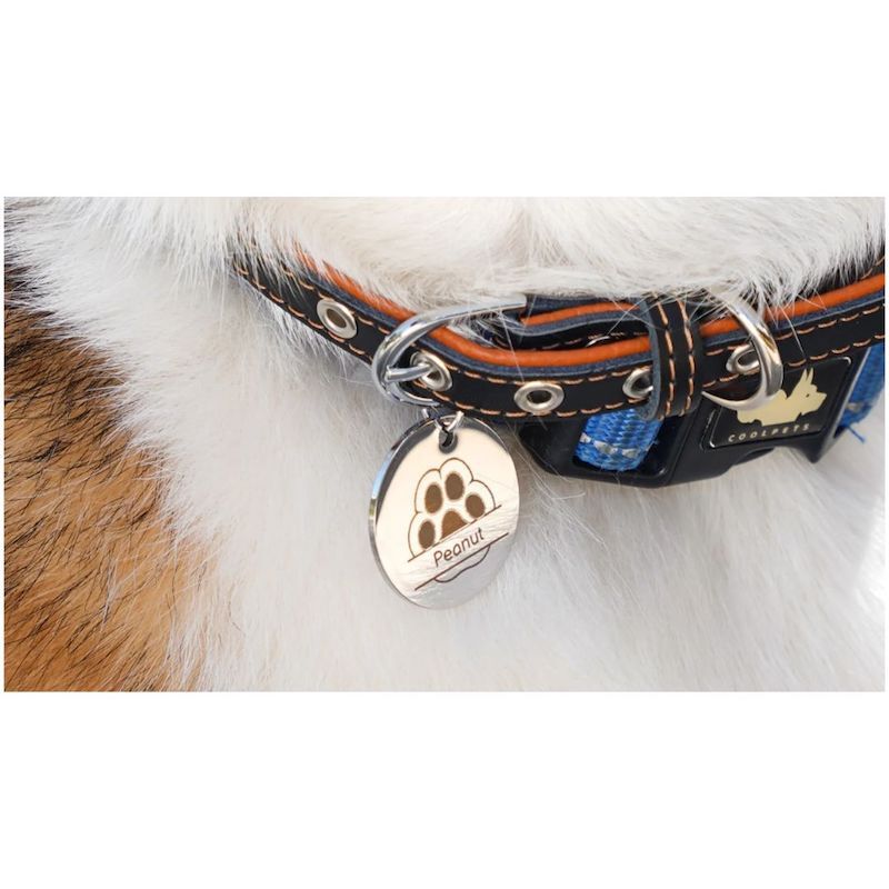 DTSL_Bambu Lab H2D 3D Printer_Dog Tag