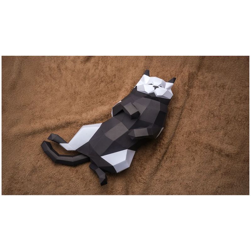 DTSL_Bambu Lab H2D 3D Printer_Cat Sample