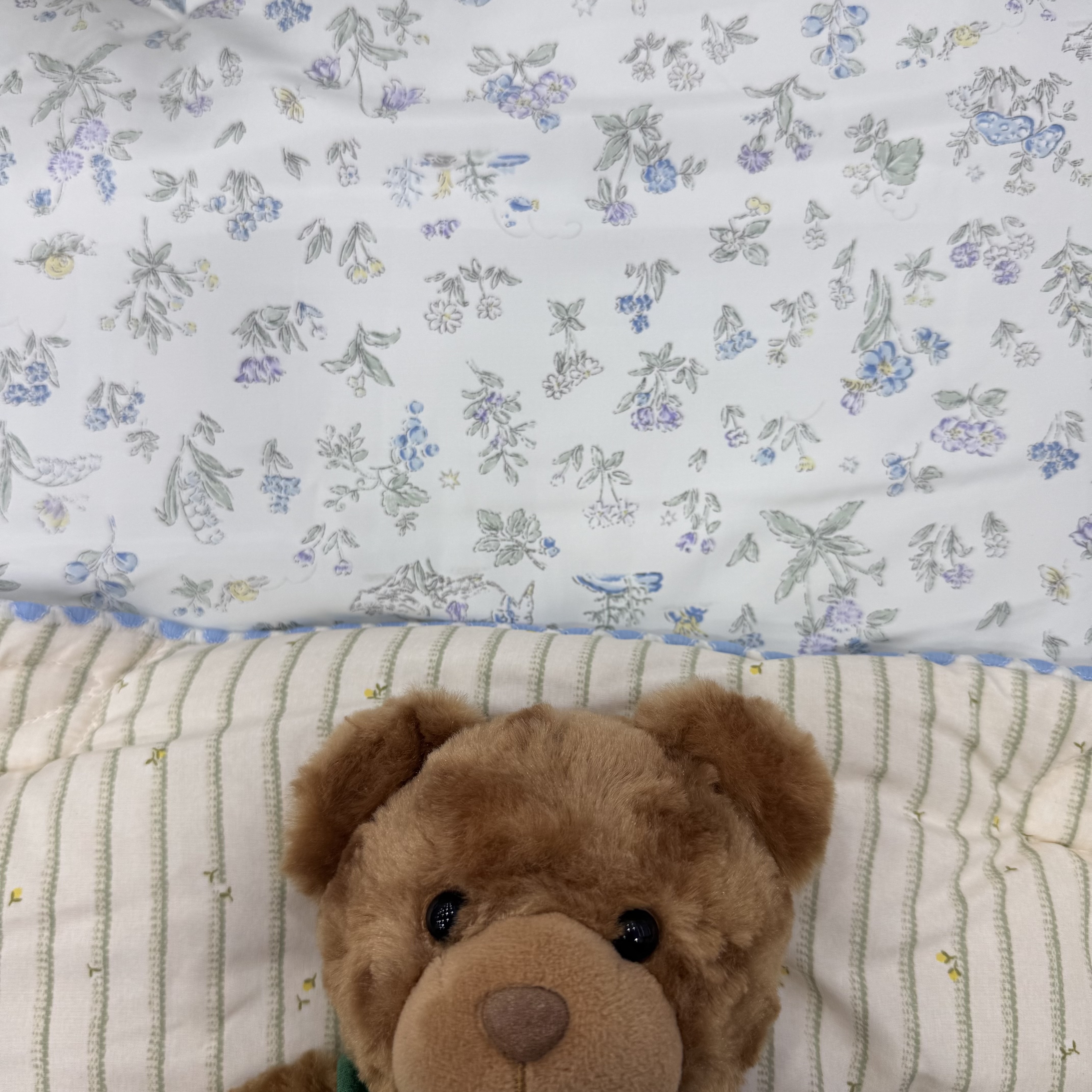 花園朵朵開四季被