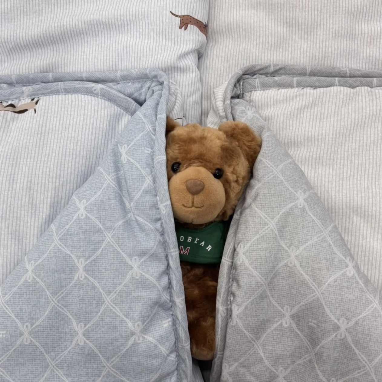 畫家臘腸狗狗四季被