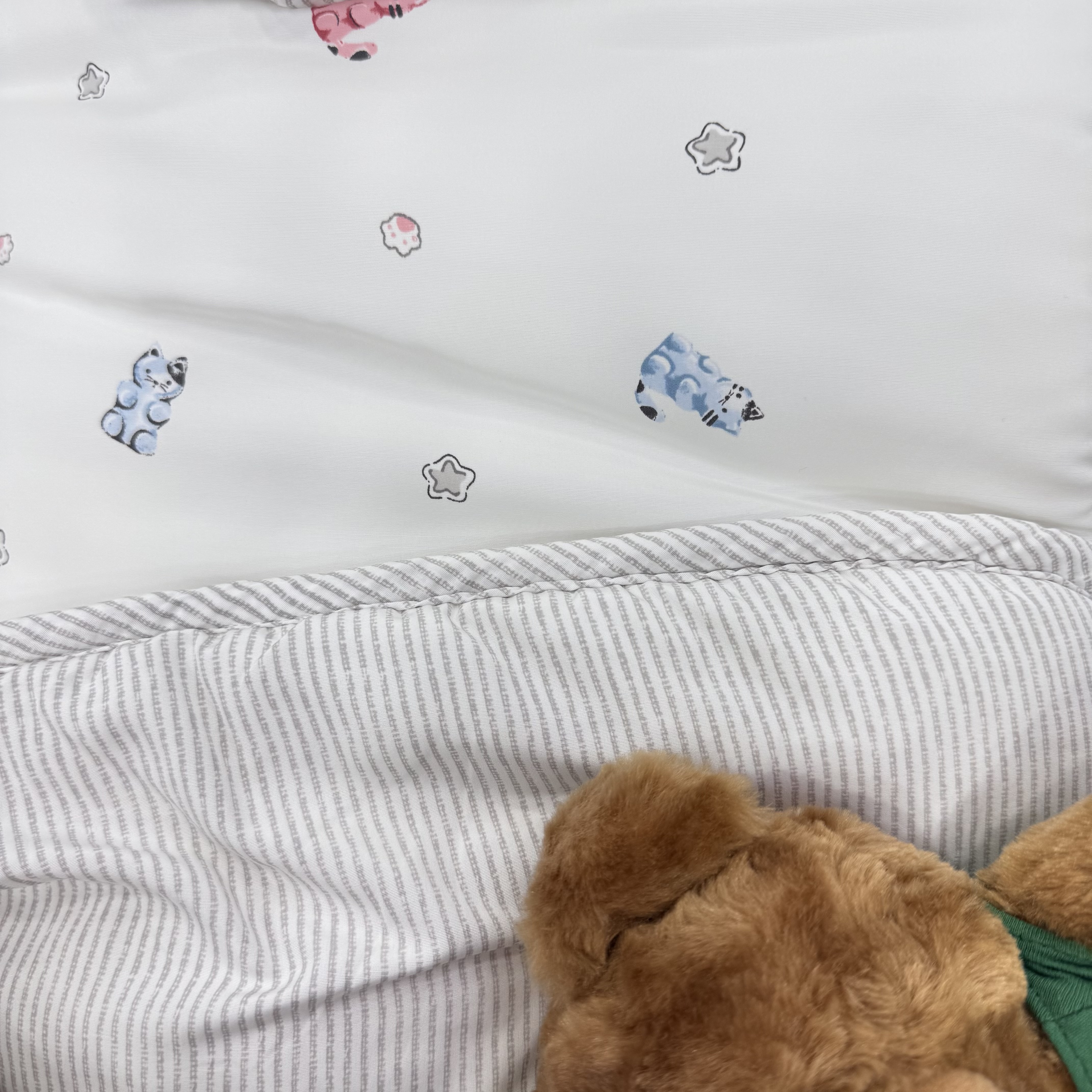 激推‼️超Q小貓軟糖膠原蛋白四季被