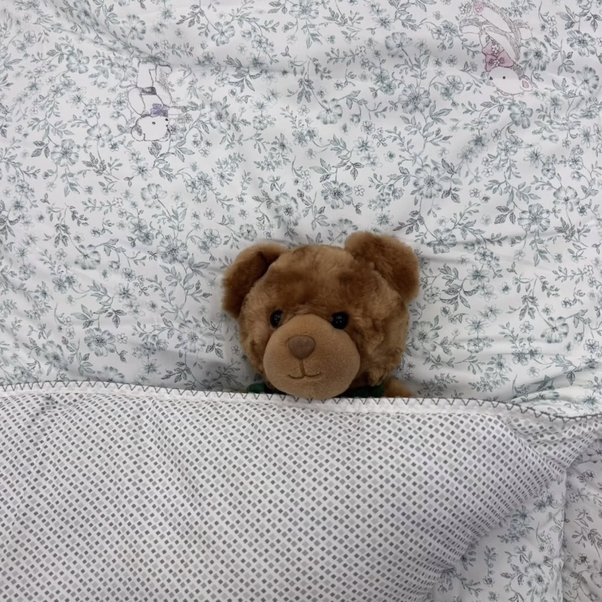 溫柔花花兔兔四季被