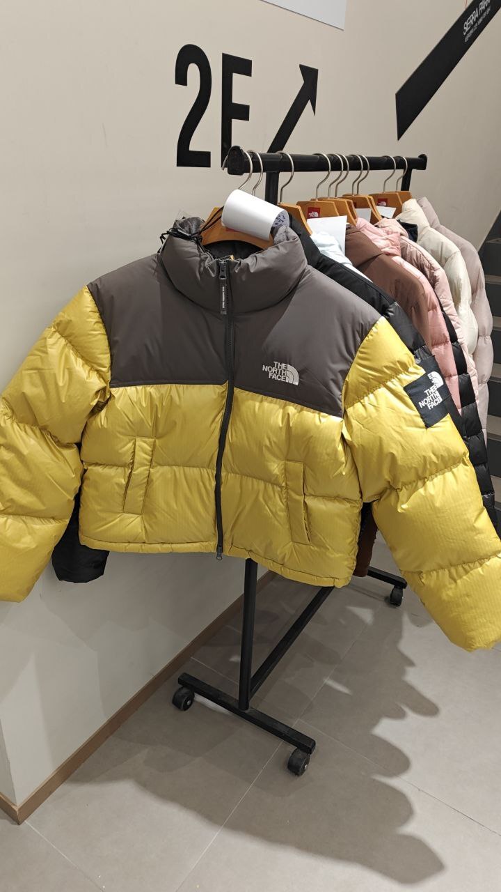 [K] THENORTHFACE MUSTARD W'S NOVELTY NUPTSE DOWN JACKET-RDS, NJ1DR85O-MUS (KTNF174)