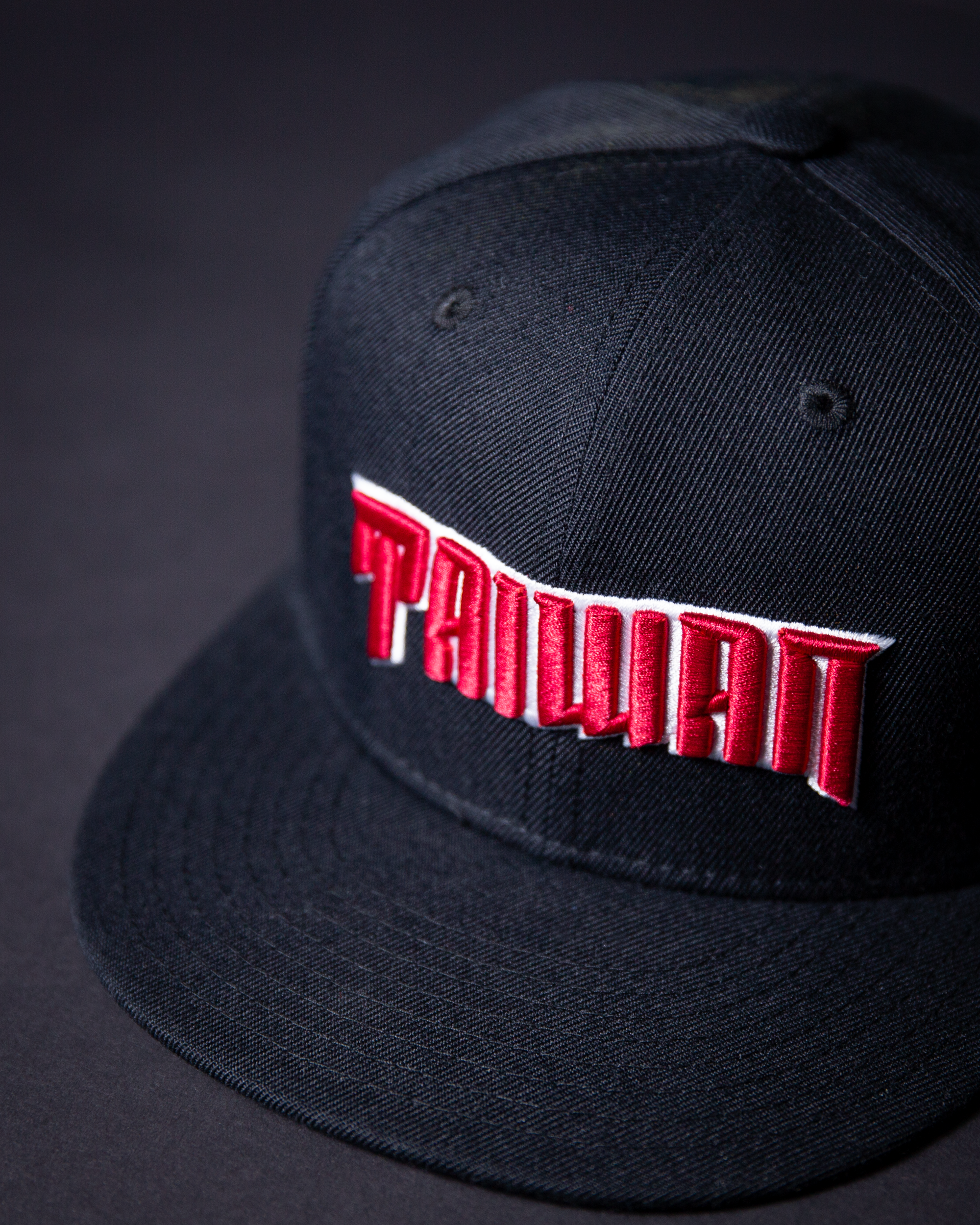 TAIWAN 刺繡棒球帽 (台灣款)