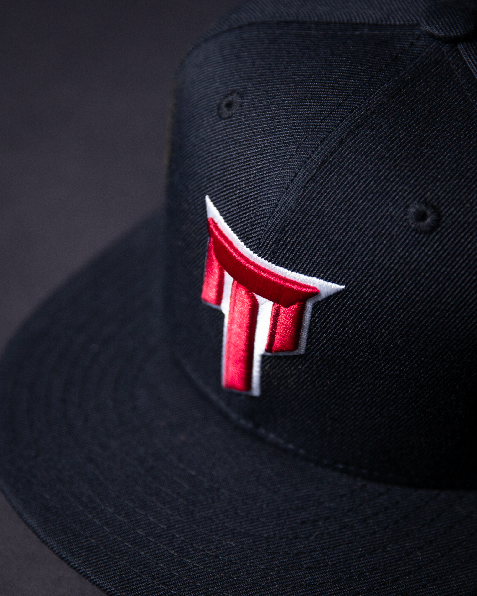 TAIWAN 刺繡棒球帽 (大T款)