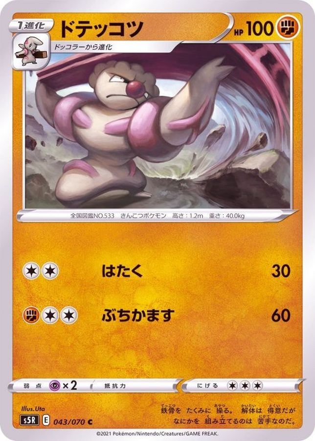 POKEMON JAPANESE S5R 043/070 C