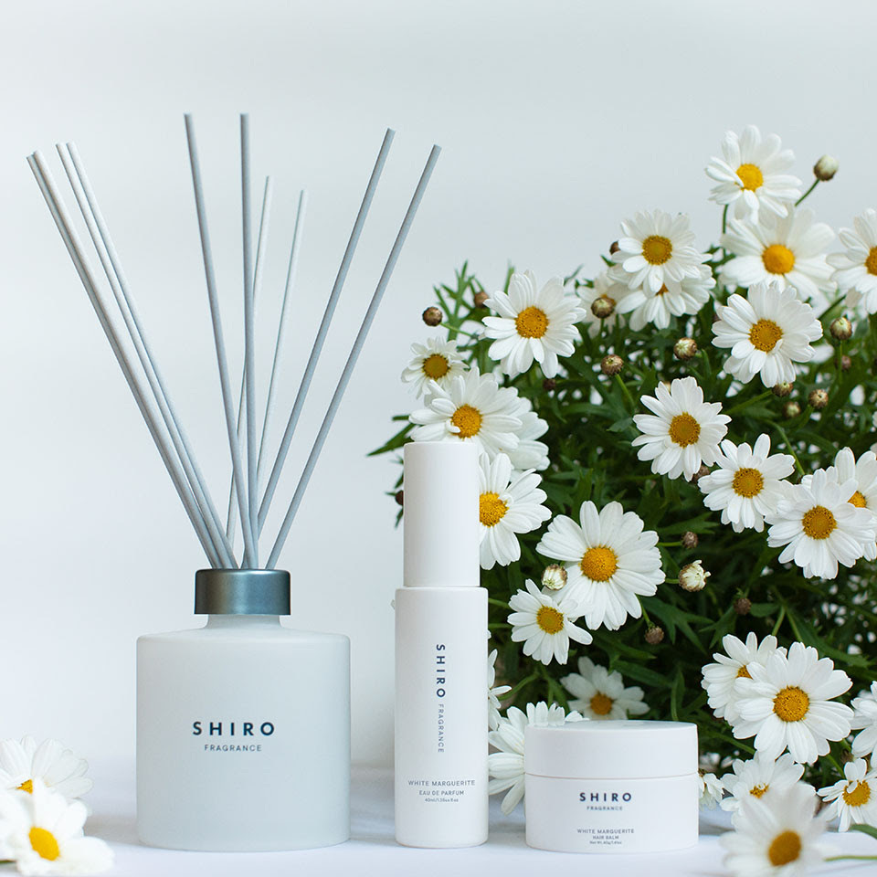 [限定] SHIRO White Marguerite Series 柑橘綠調花香系列