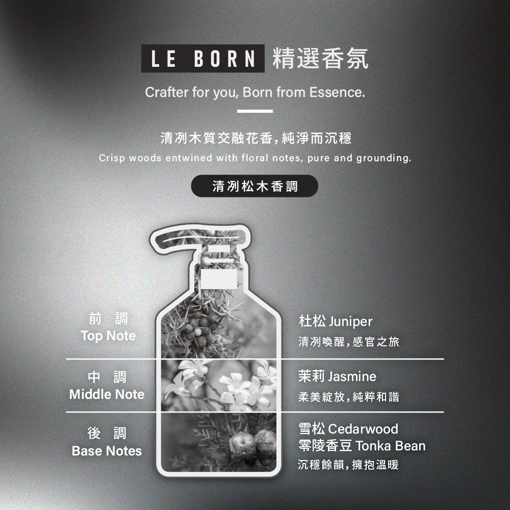 「清冽松木香調」詳細層次說明。前調為杜松（清新喚醒）；中調為茉莉（柔美綻放）；後調為雪松與零陵香豆（沉穩餘韻）。文字描述為「清冽木質交融花香，純淨而沉穩」。