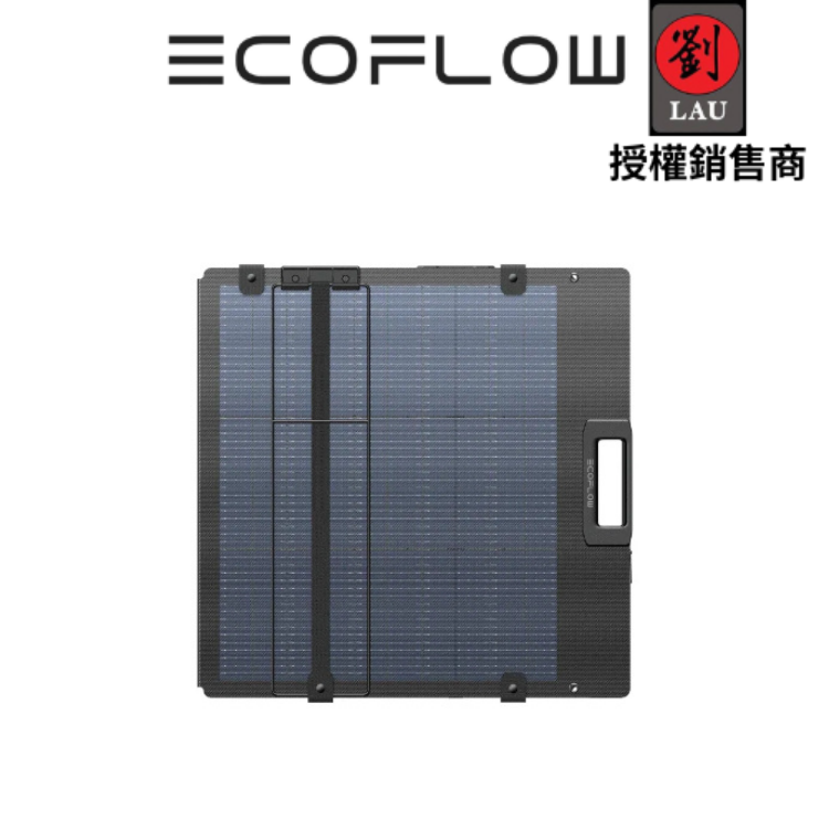 EcoFlow 220W  雙面輕量便攜太陽能板(3月底到貨)