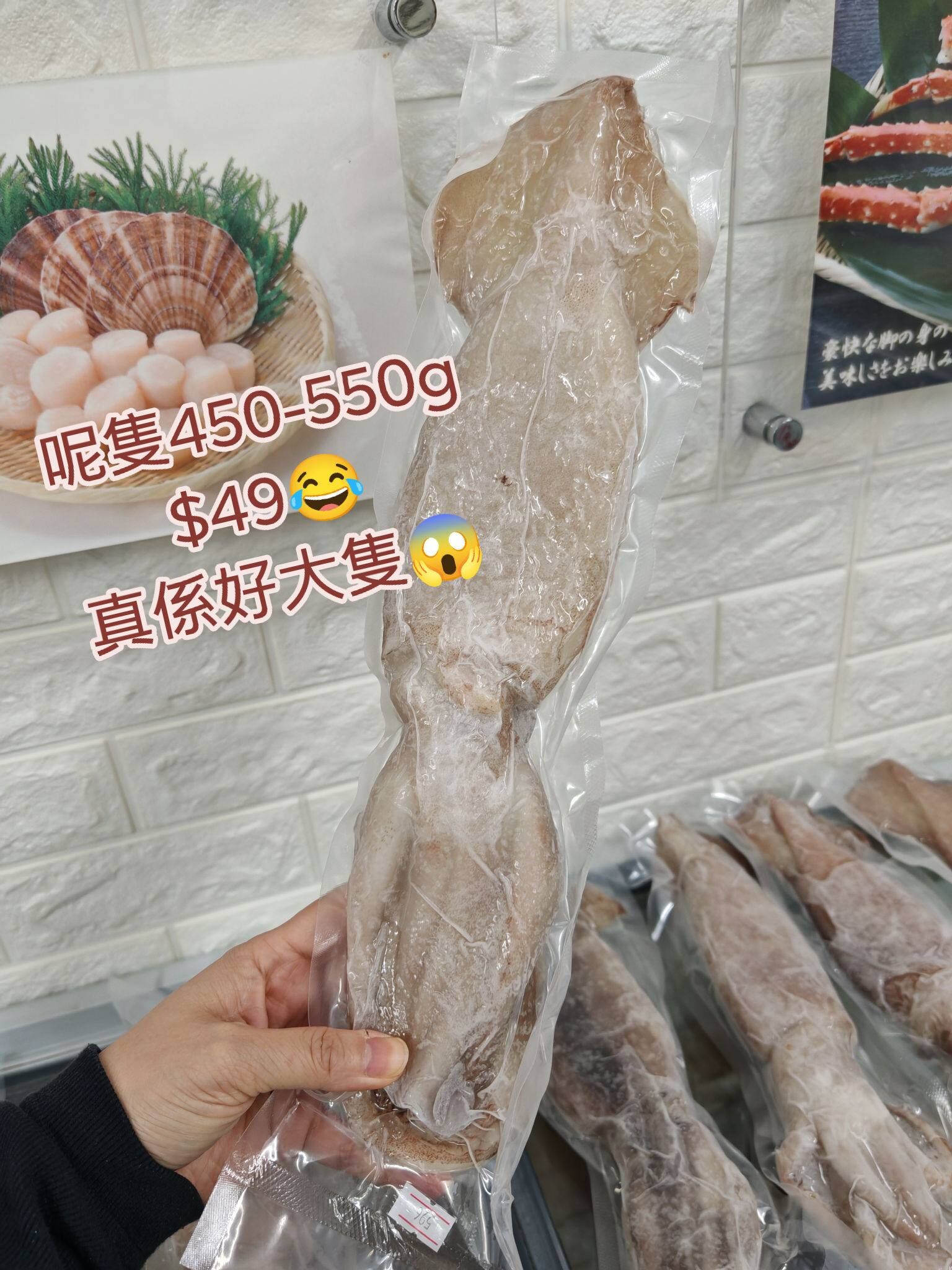 3月優惠-原隻火箭魷魚筒(350-650G)