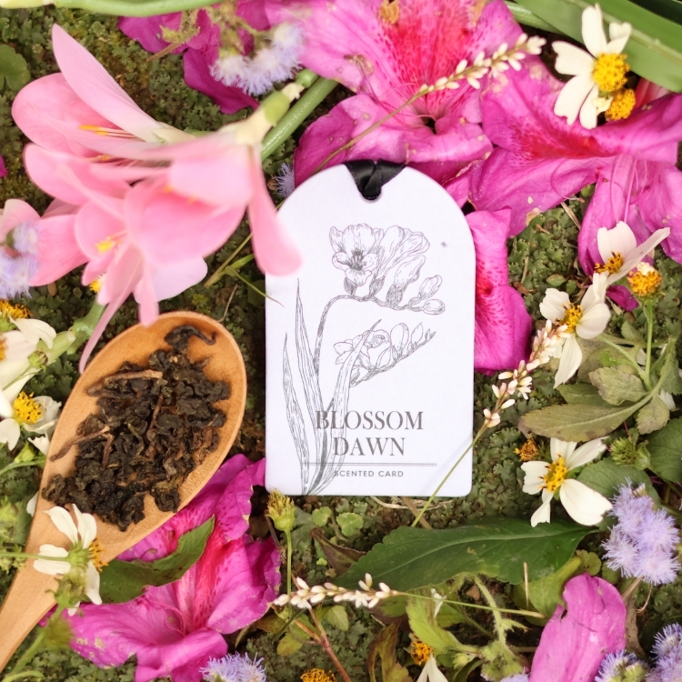 芙森 品牌獨家訂製 四季香氛片 一組四片