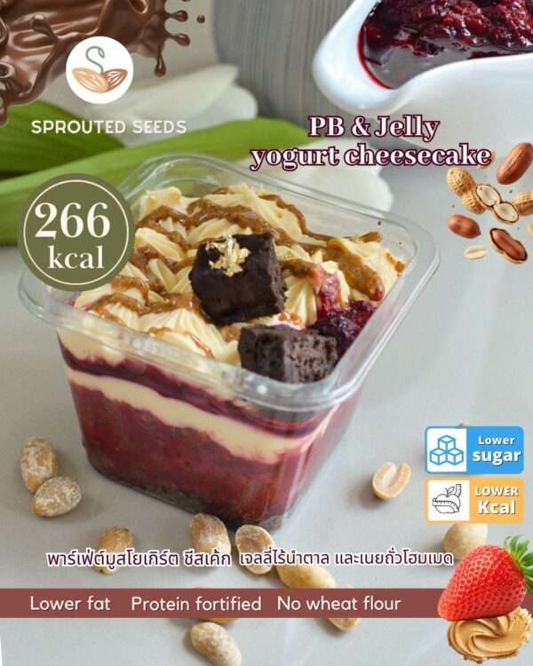 [TL04] [-18°C] Sprouted Peanut butter & Jelly yogurt cheesecake