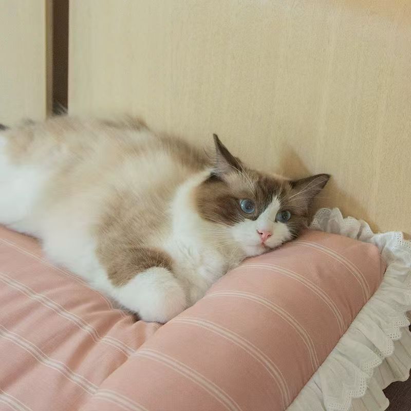 PETMAN 布蕾方款公主软床