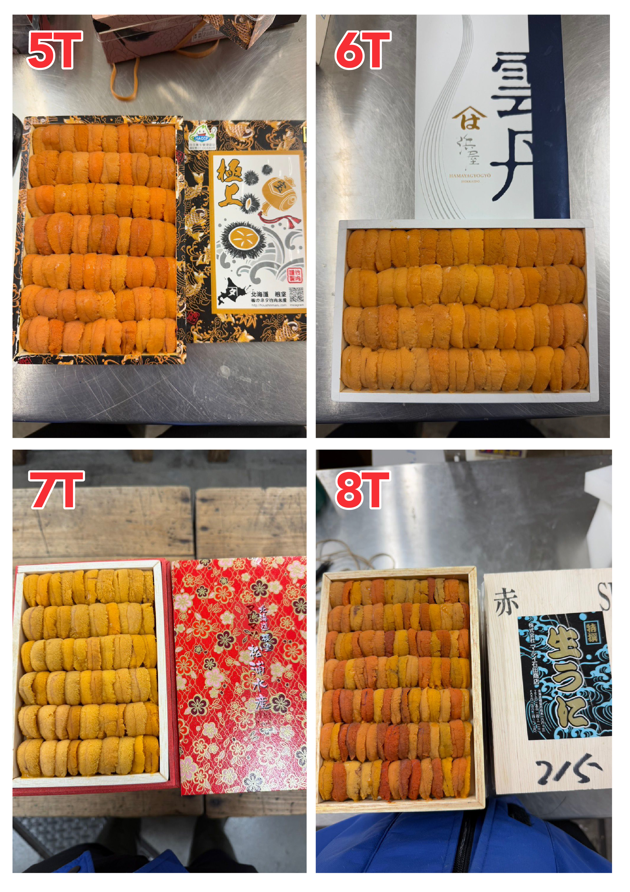 【指定海膽推薦】每天更新 (限即日落單, 翌日送)