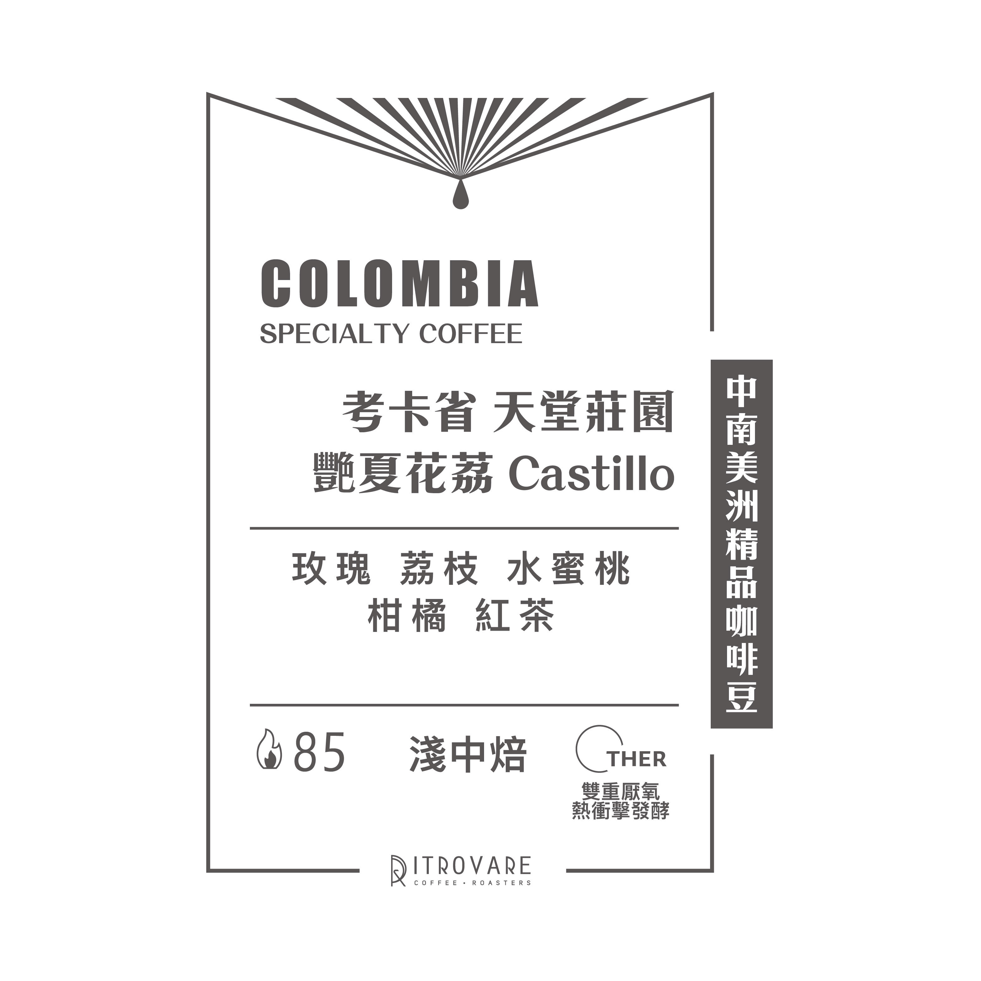 【中南美洲精品咖啡豆】哥倫比亞 考卡省 艷夏花荔 Castillo