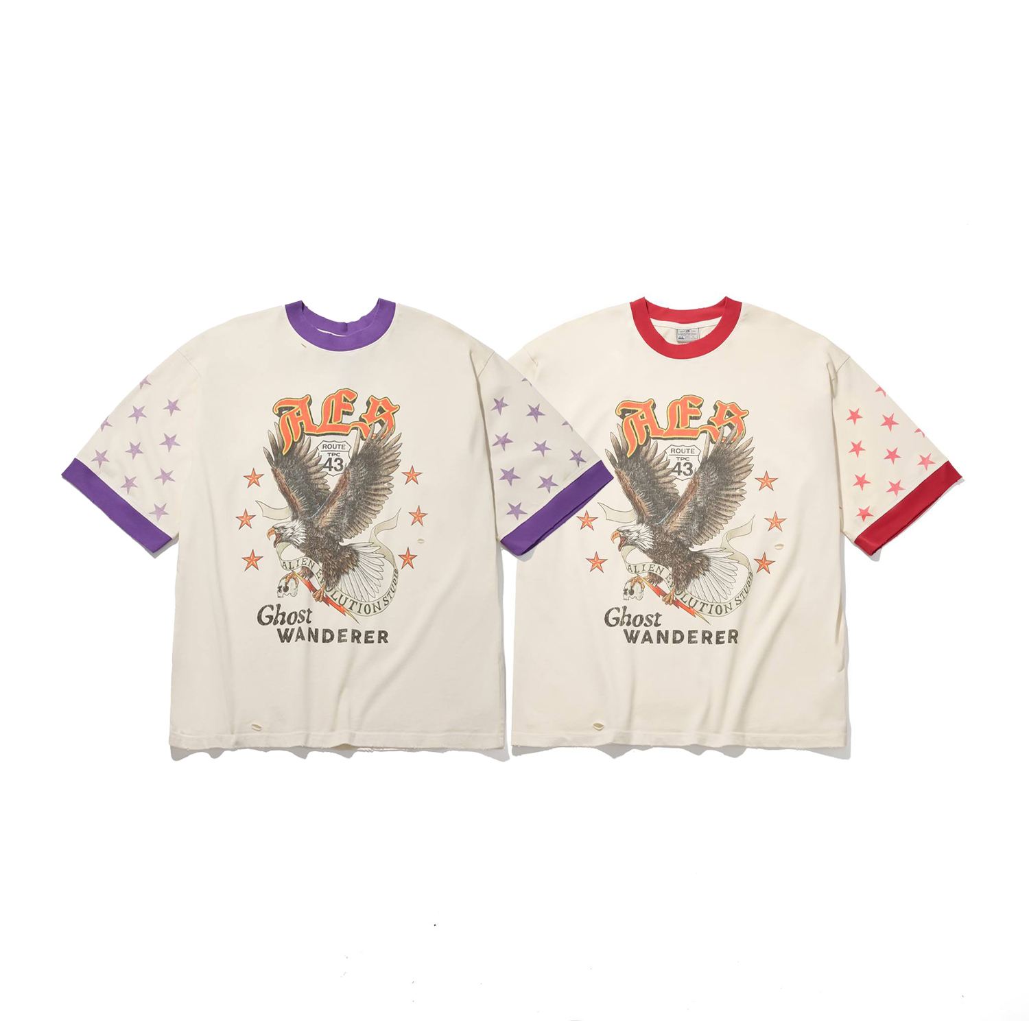 【車庫服飾】AES HALF SLEEVE BALD EAGLE VINTAGE WASHED OVERSIZE TEE