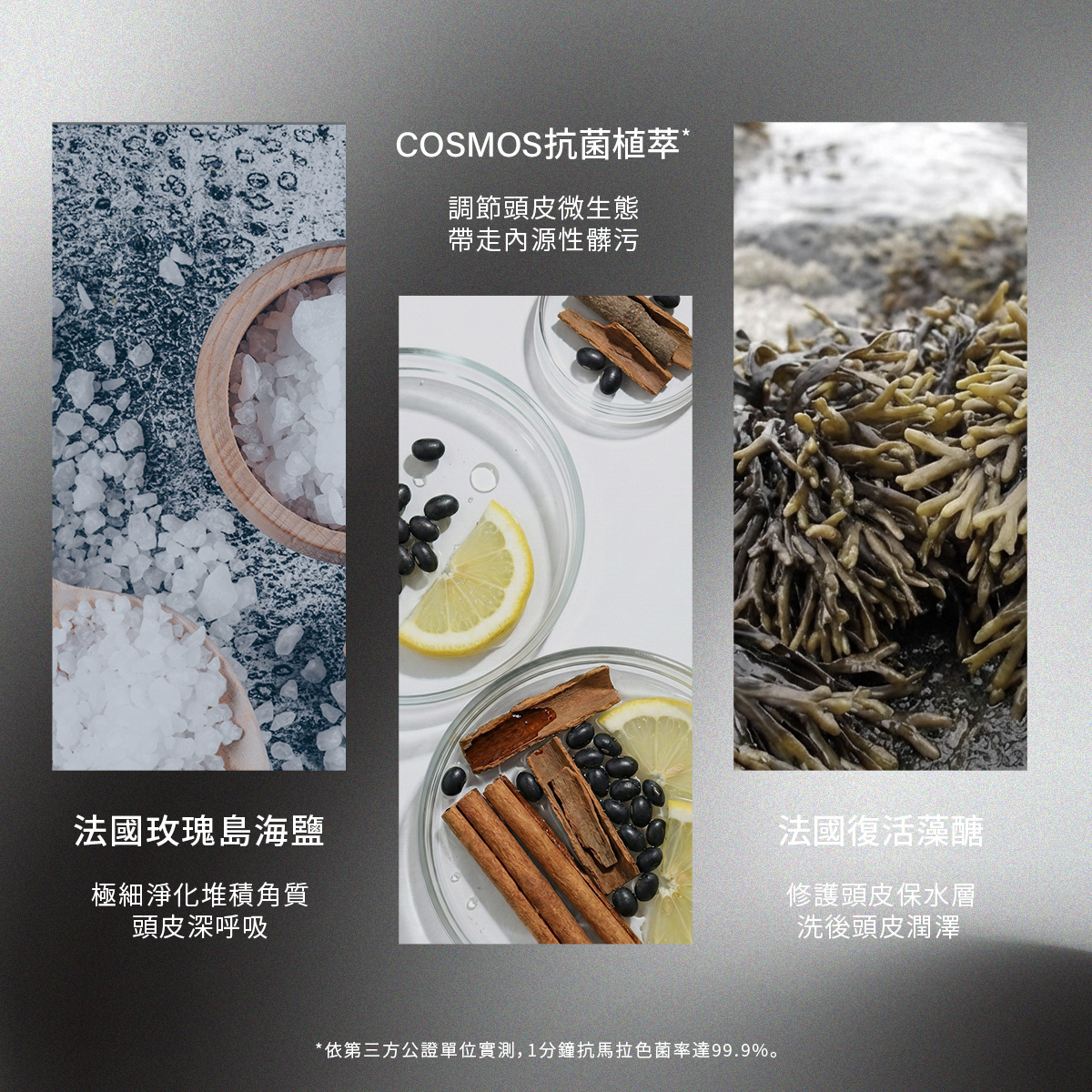 三大核心成分並列圖示。包含左側「法國玫瑰島海鹽」（淨化角質、頭皮呼吸）、中間「COSMOS 抗菌植萃」（調節微生態、帶走髒污）、右側「法國復活藻醣」（修護保水層、洗後潤澤）。背景結合了天然海鹽、檸檬與肉桂等視覺元素。