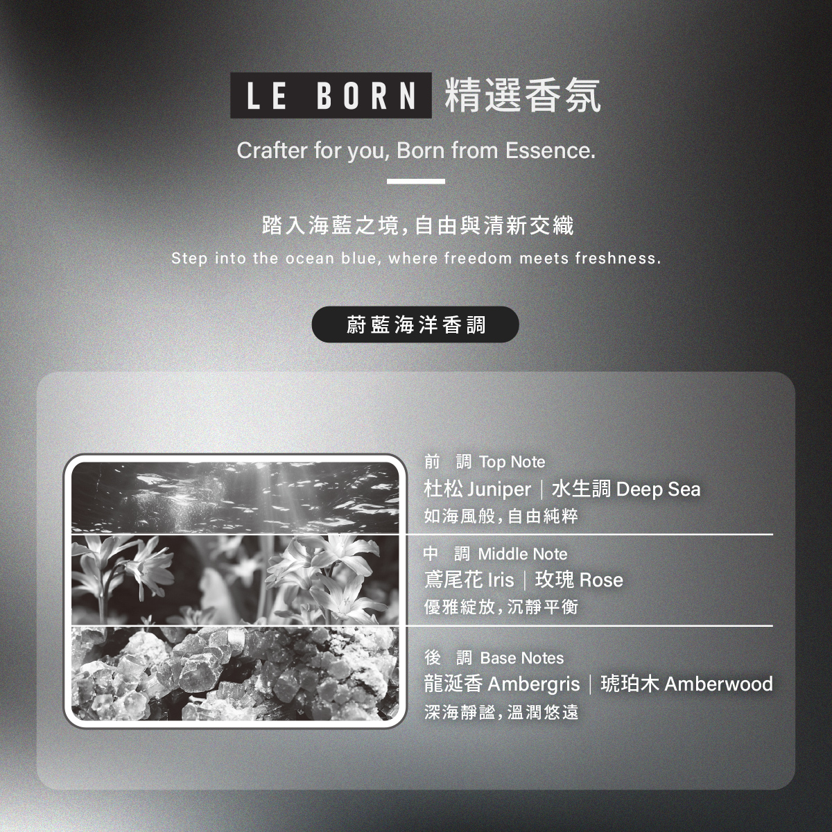 蔚藍海洋香調」詳細介紹圖。分為三層視覺與文字：前調杜松與水生調（如海風般自由純粹）、中調鳶尾花與玫瑰（優雅綻放、沉靜平衡）、後調龍涎香與琥珀木（深海靜謐、溫潤悠遠）。強調「踏入海藍之境，自由與清新交織」。
