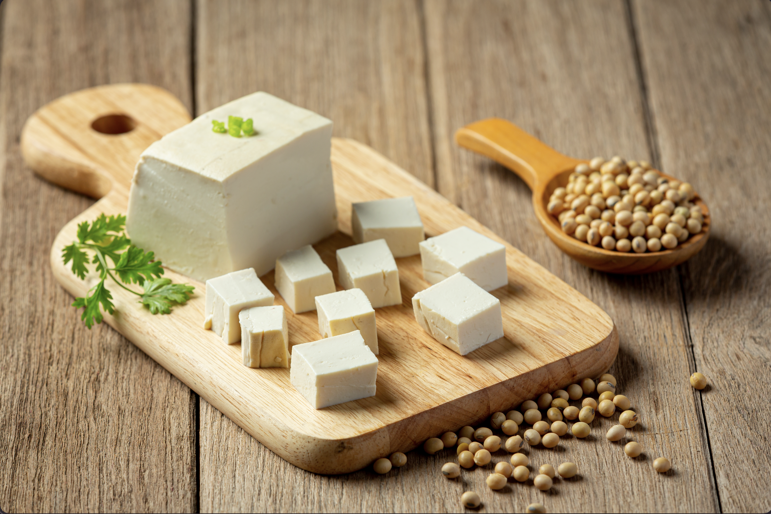 tofu-made-from-soybeans-food-nutrition-concept