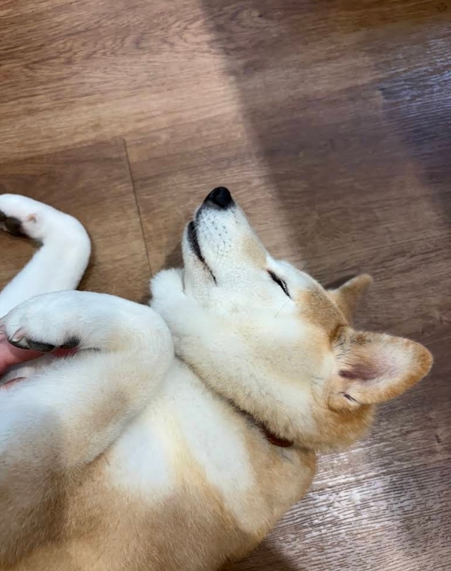 Vivian Hu 評論照片