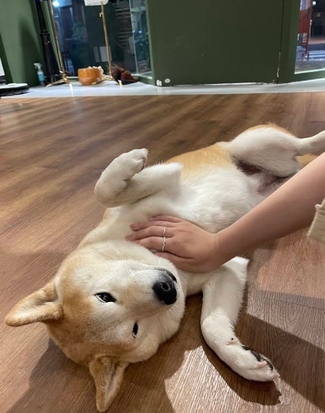 Chen豆豆 評論照片