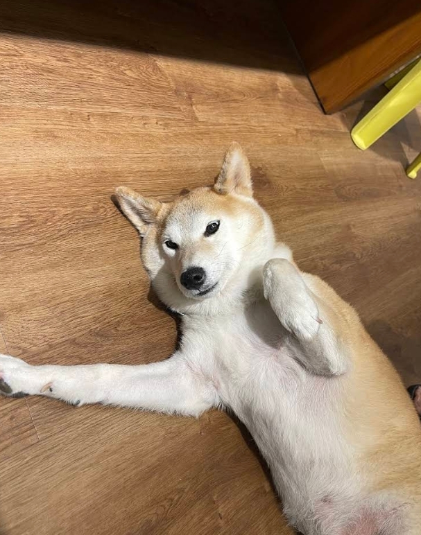 Patty Wang 評論照片